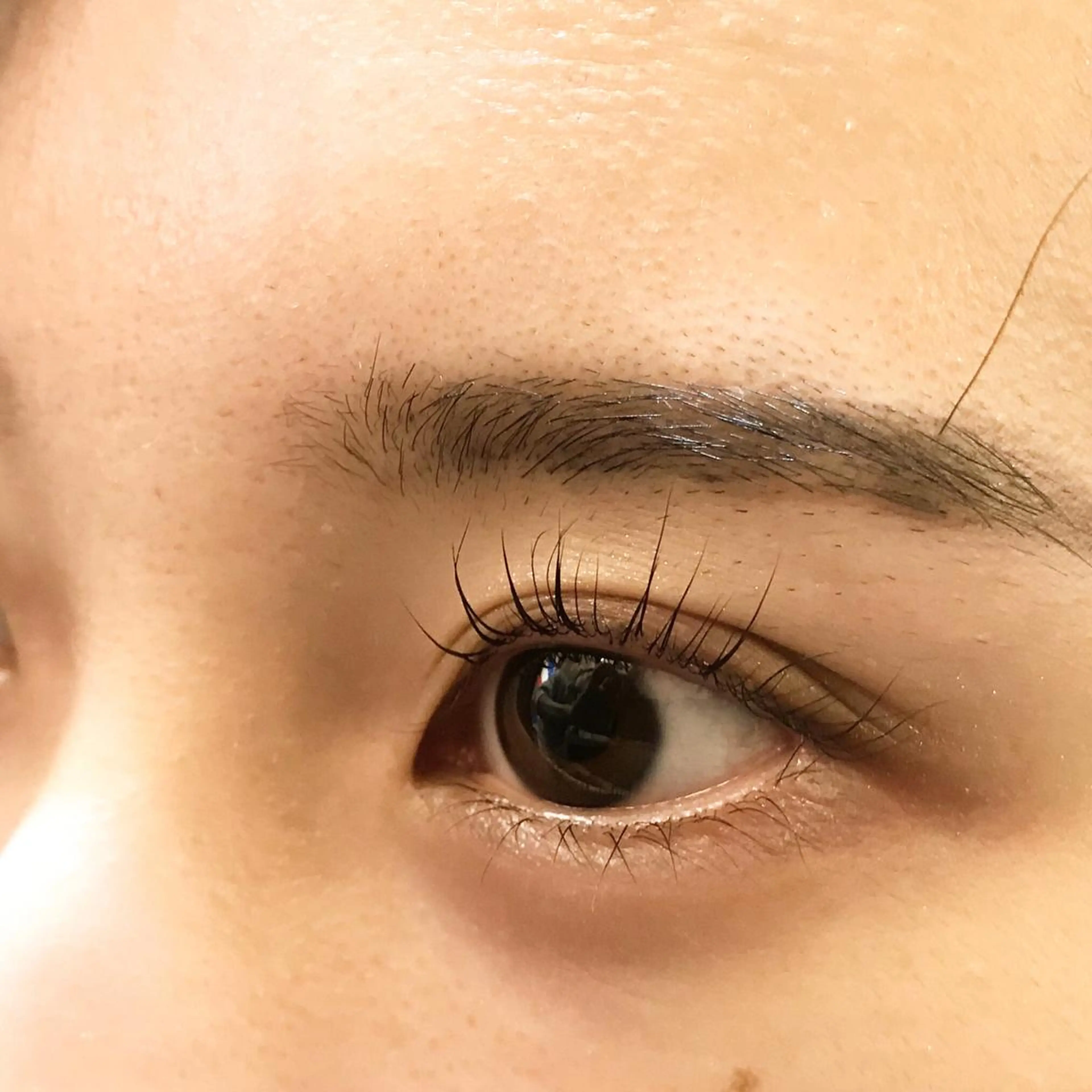 マツエク・マツパ マツパ ⭐️Eye＆Eyeblowsalon⭐️Dafne⭐️所属・Dafne SAIのマツエク・マツパデザイン