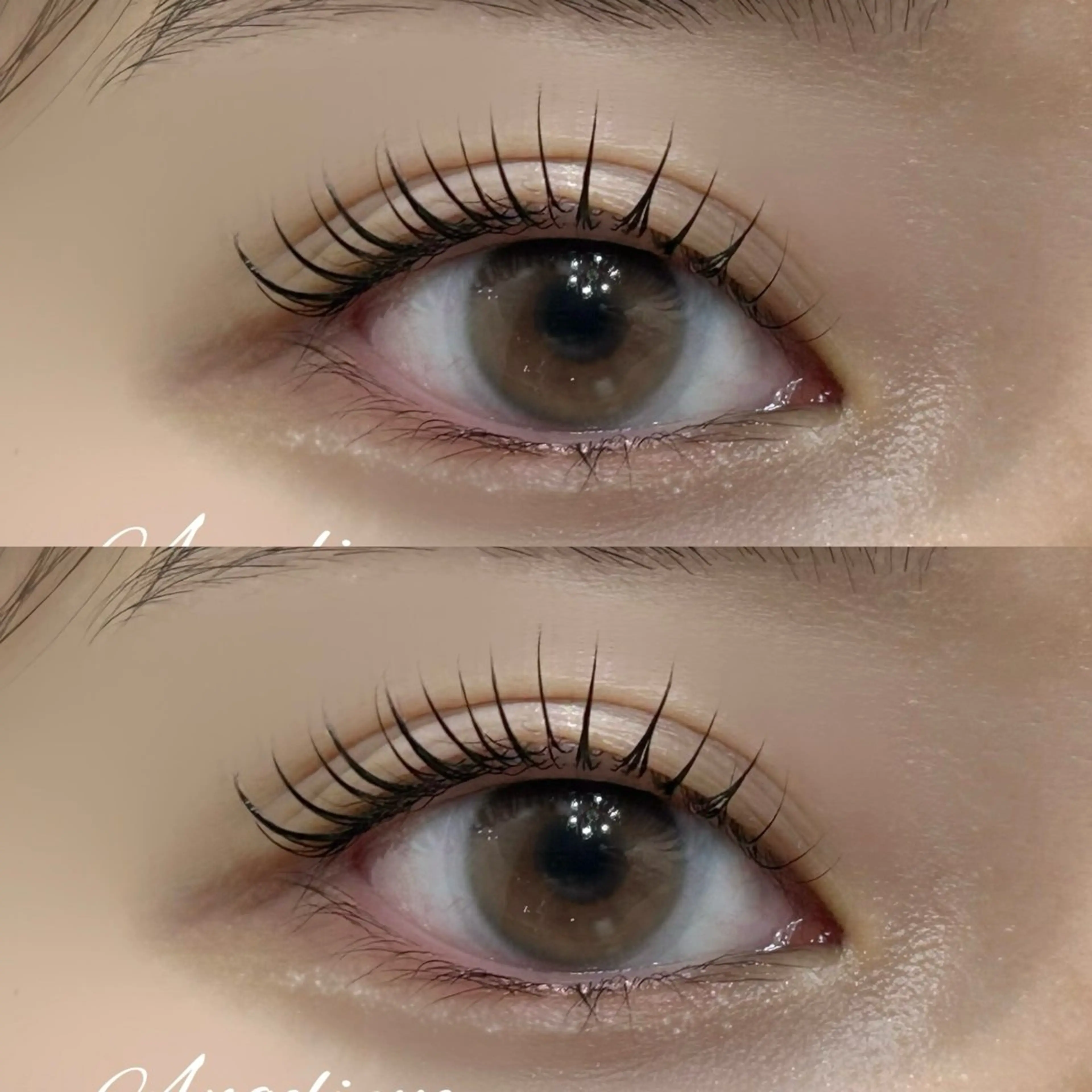 【🩷ラッシュリフトカール🩷】お仕上げコーティング付き🎀の写真