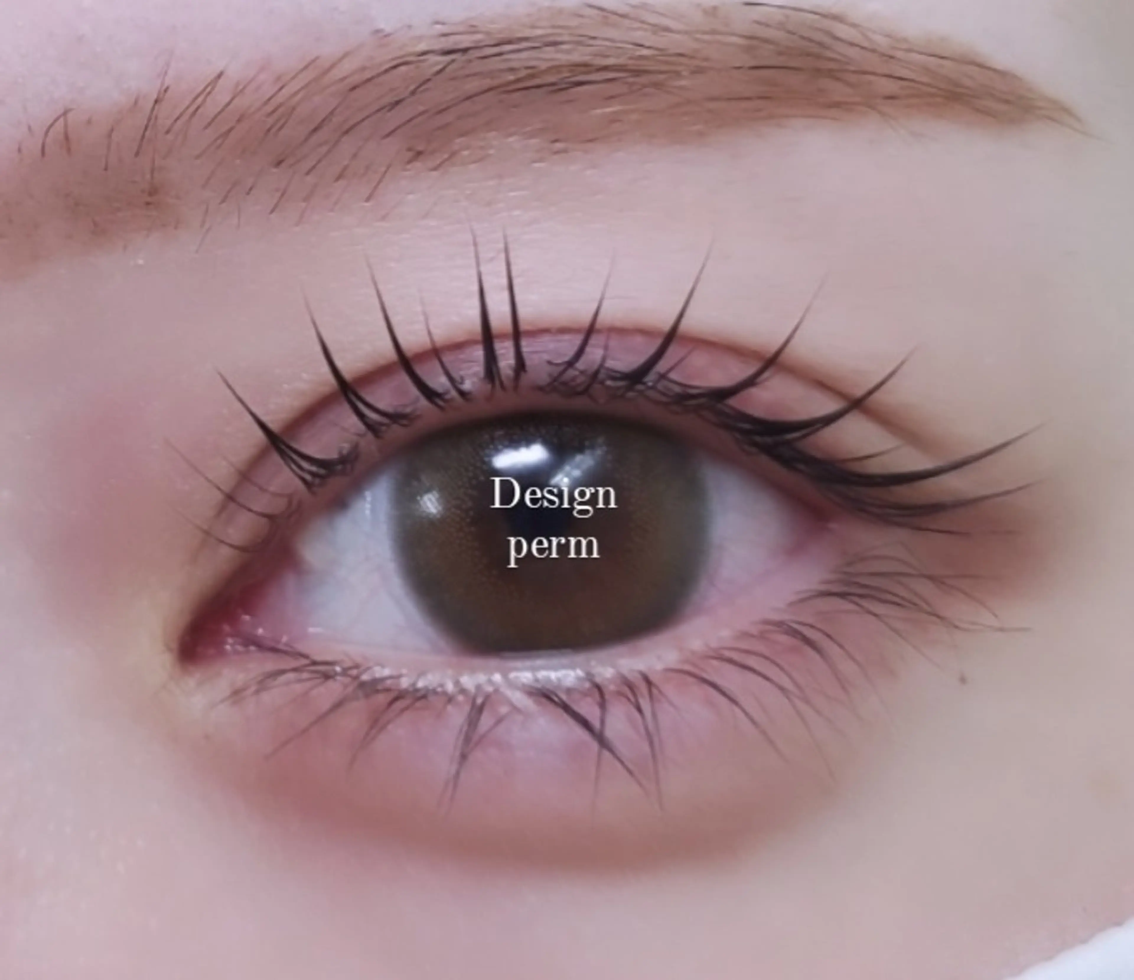 マツエク・マツパ マツパ eyelashsalon   rocolush 所属・★Hoshino★ 新宿西口 ·͜·🌟のマツエク・マツパデザイン