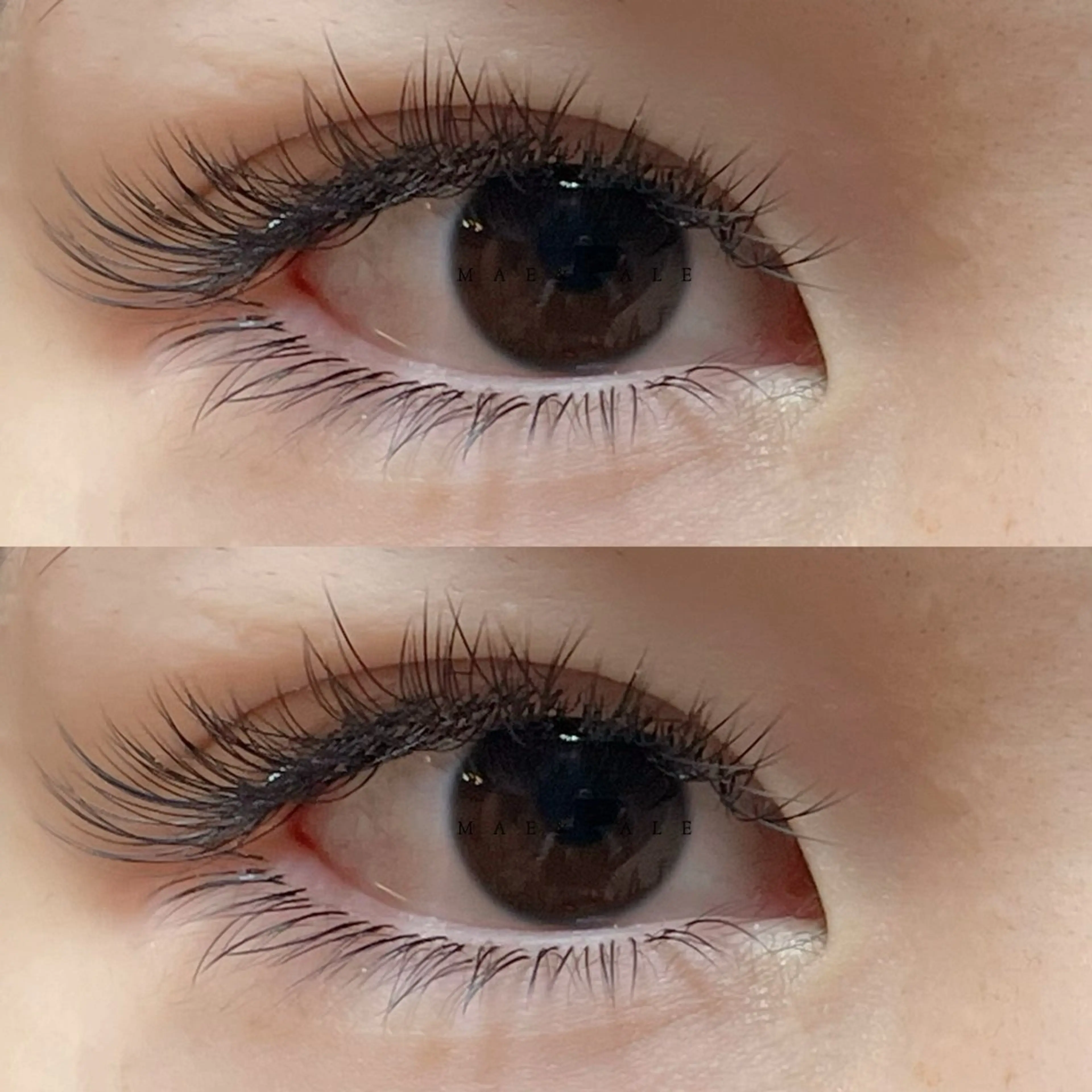 マツエク・マツパ マツエク MAE&KALE STUDIOのマツエク・マツパデザイン