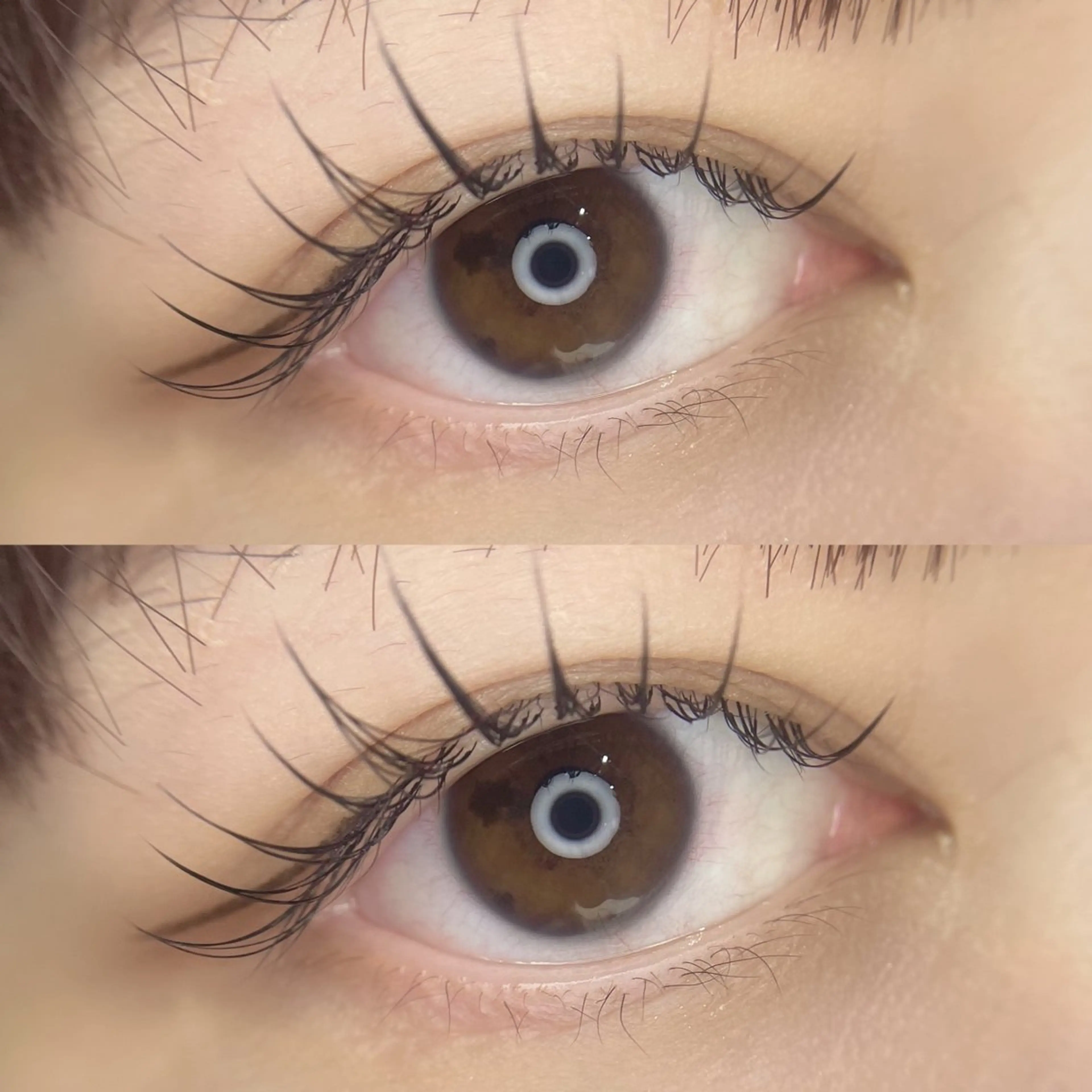 マツエク・マツパ フラットラッシュ Jカール mary nail&eyelash 西大寺所属・mary eye 北浦のマツエク・マツパデザイン