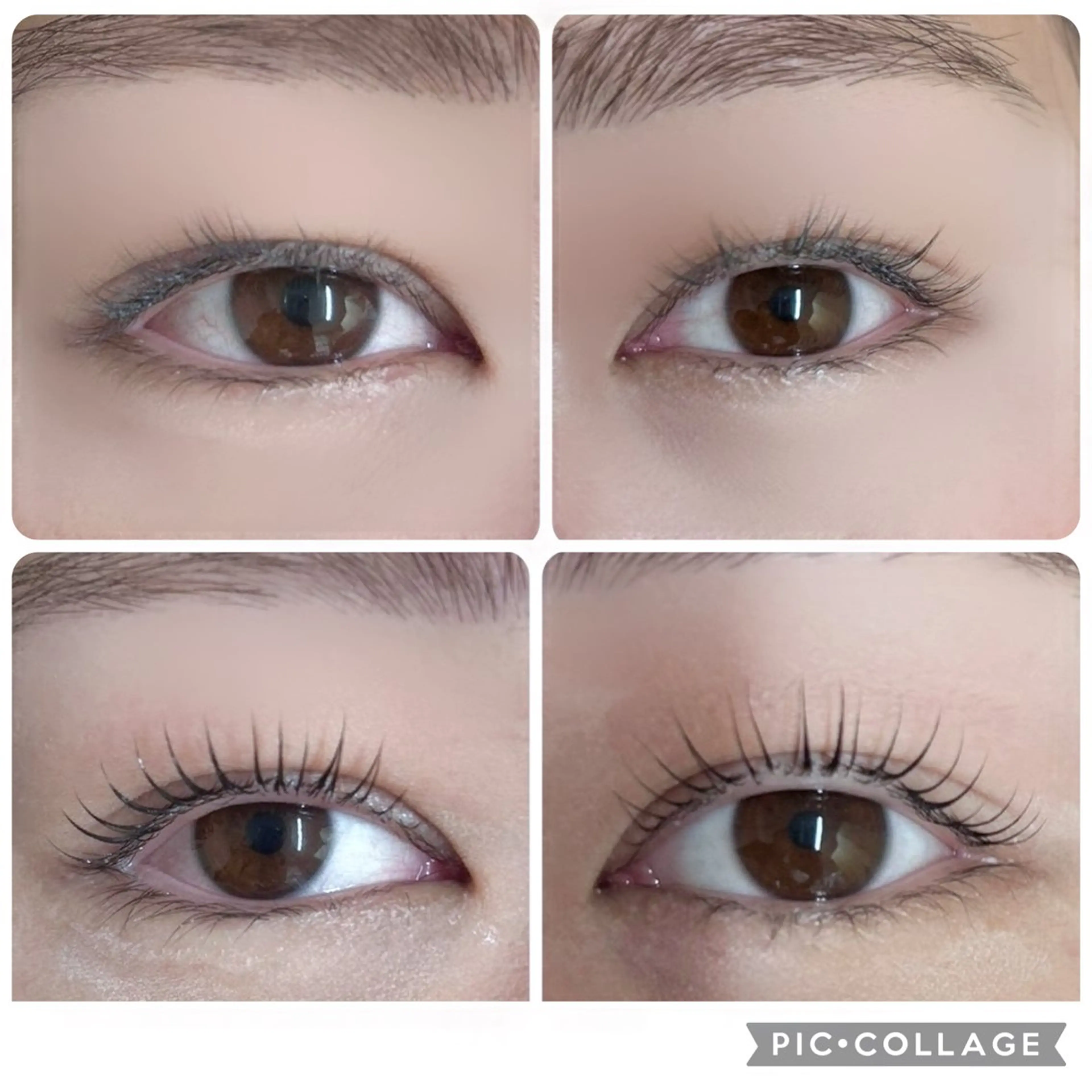 マツエク・マツパ まつげパーマ WHITE  EYE 関内店所属・WHITE EYE MOMOの眉毛・アイブロウイメージ