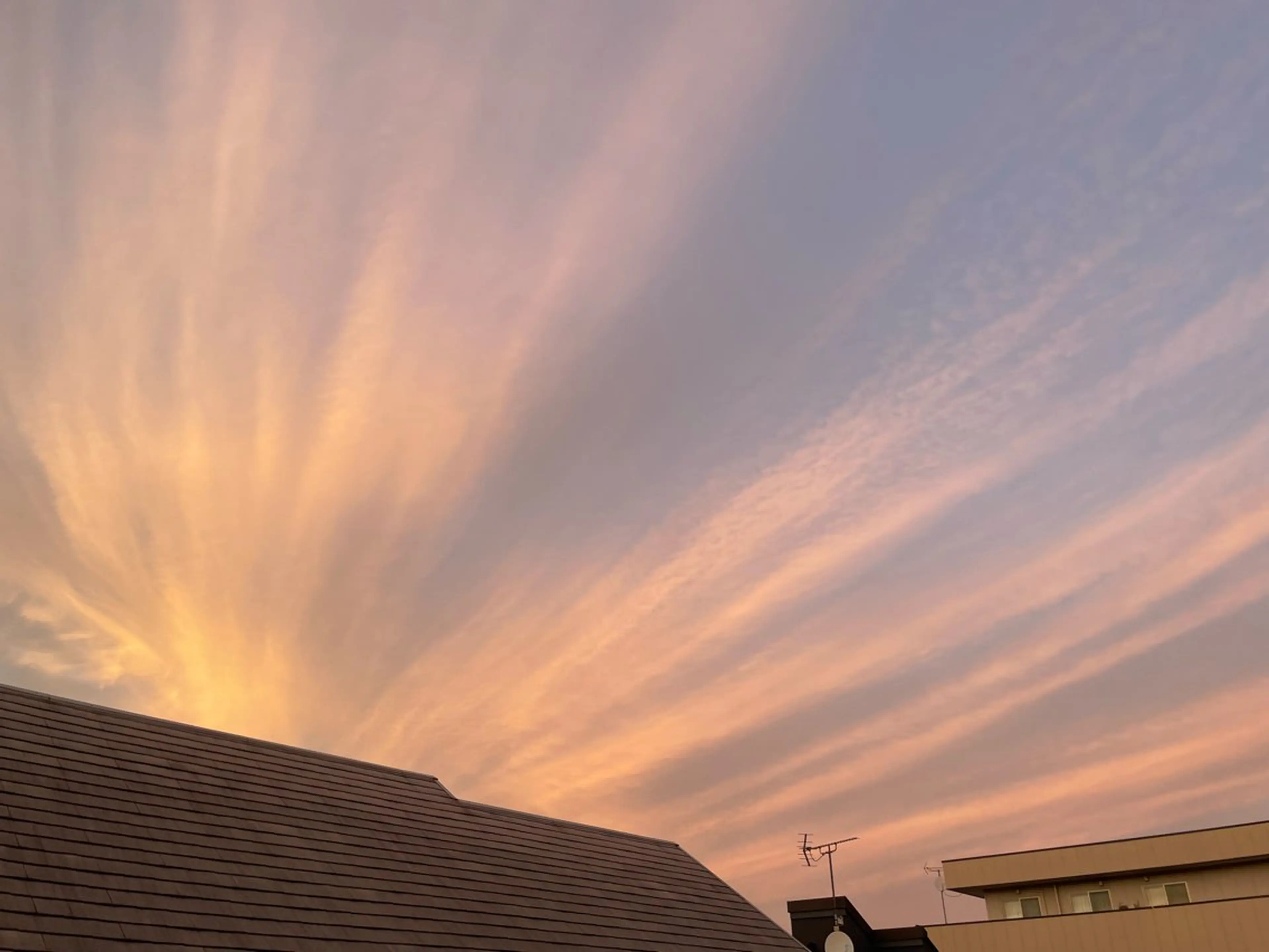 ネイル Chong Sarangのネイルデザイン