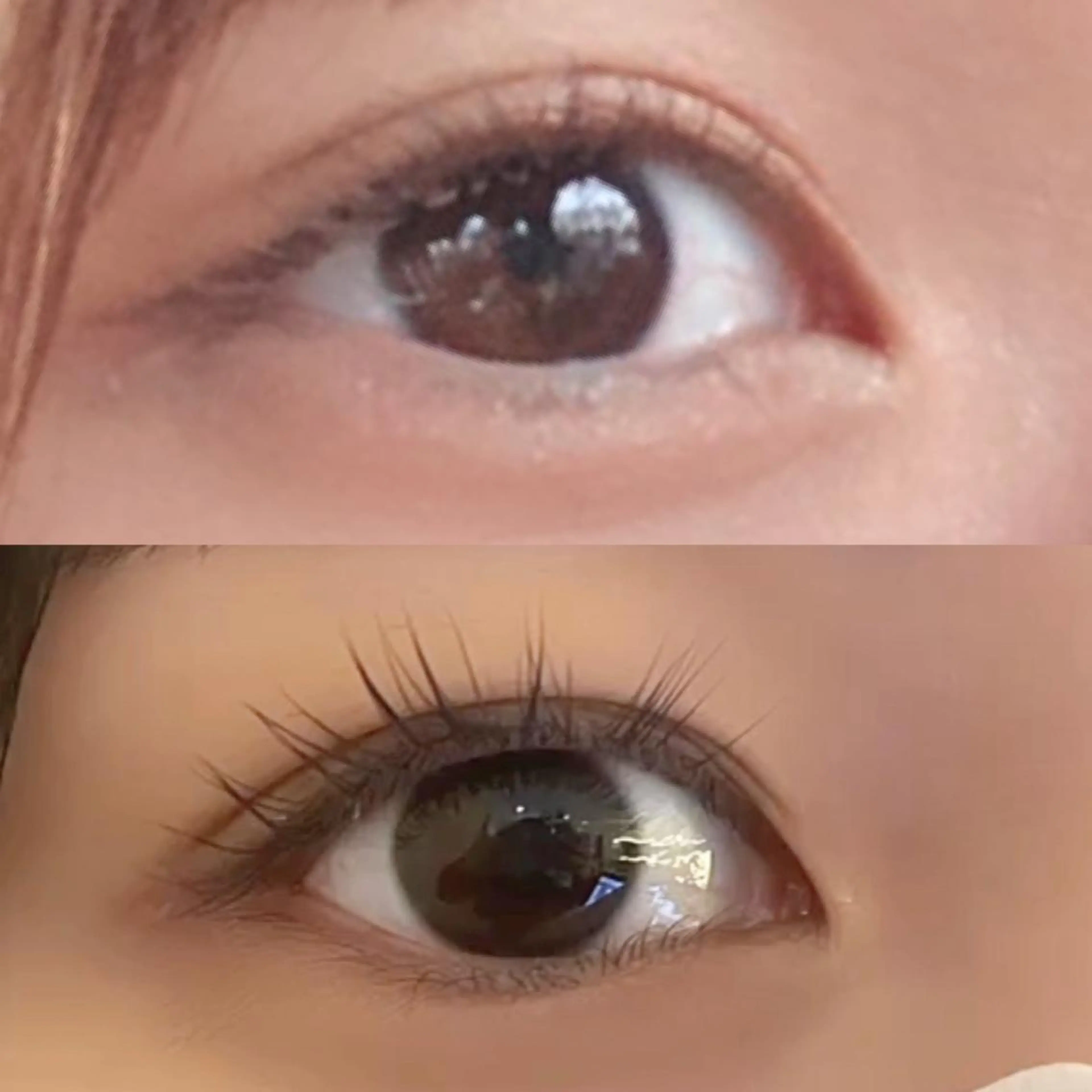 Total Beauty♡miaのマツエク・マツパデザイン