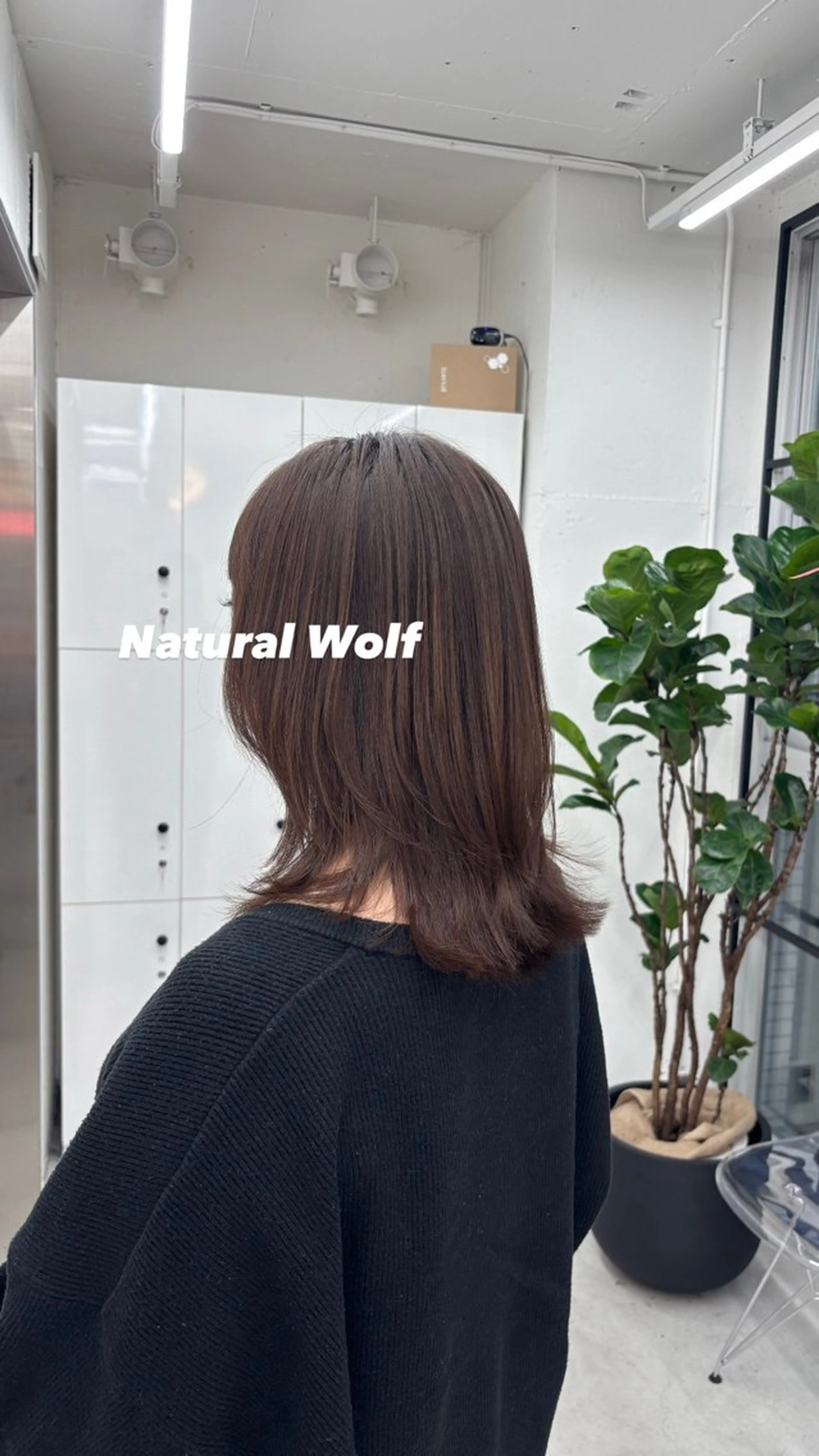 ミディアム ウルフカット 🌼あいり🌼 JILLSTUDIOのヘアスタイル