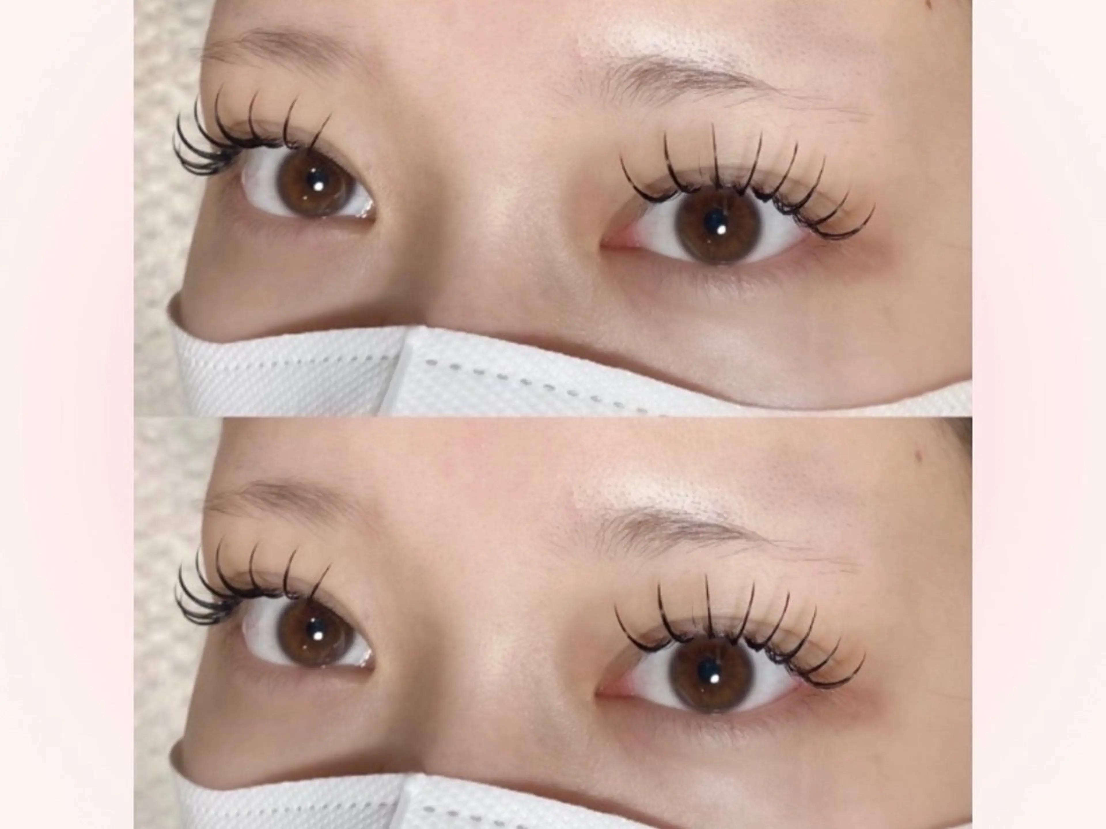 マツエク・マツパ 束感まつ毛 Dカール フラットラッシュ 🐶Maaz lash5🐶のマツエク・マツパデザイン