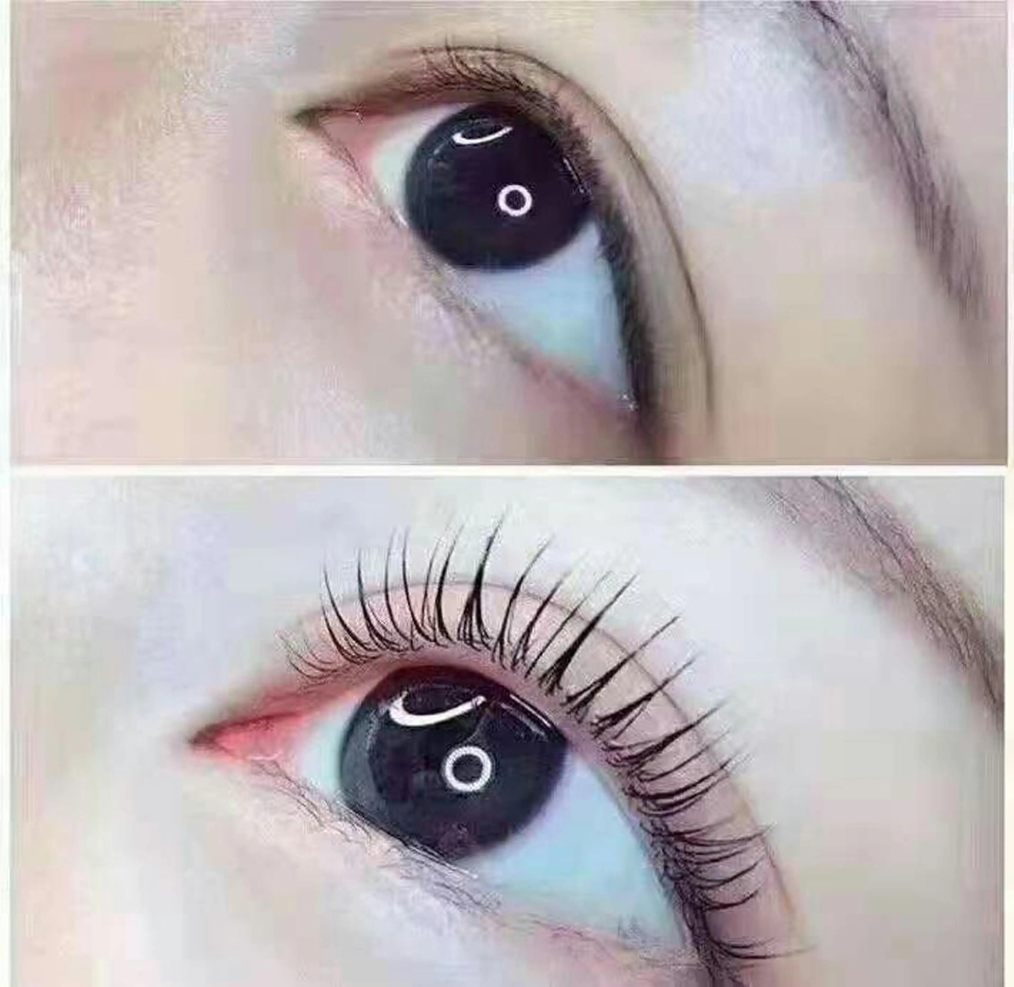 マツエク・マツパ まつげパーマ 胡蝶蘭レディースサロン所属・胡蝶蘭レディースサロ ン眉マツパエクステの眉毛・アイブロウイメージ