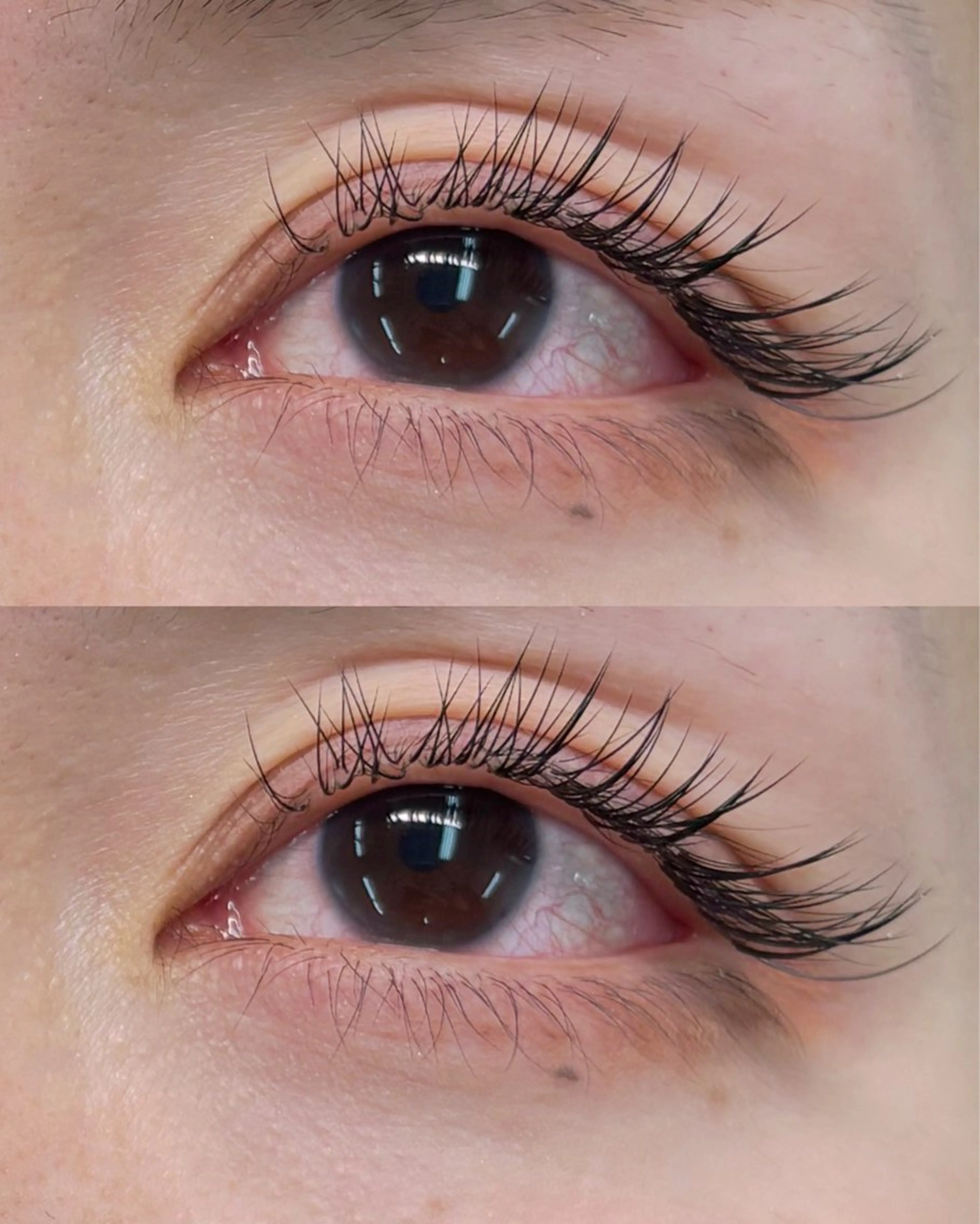 マツエク・マツパ TRU  NAIL&EYELASH 横浜店所属・清水 愛美の眉毛・アイブロウイメージ