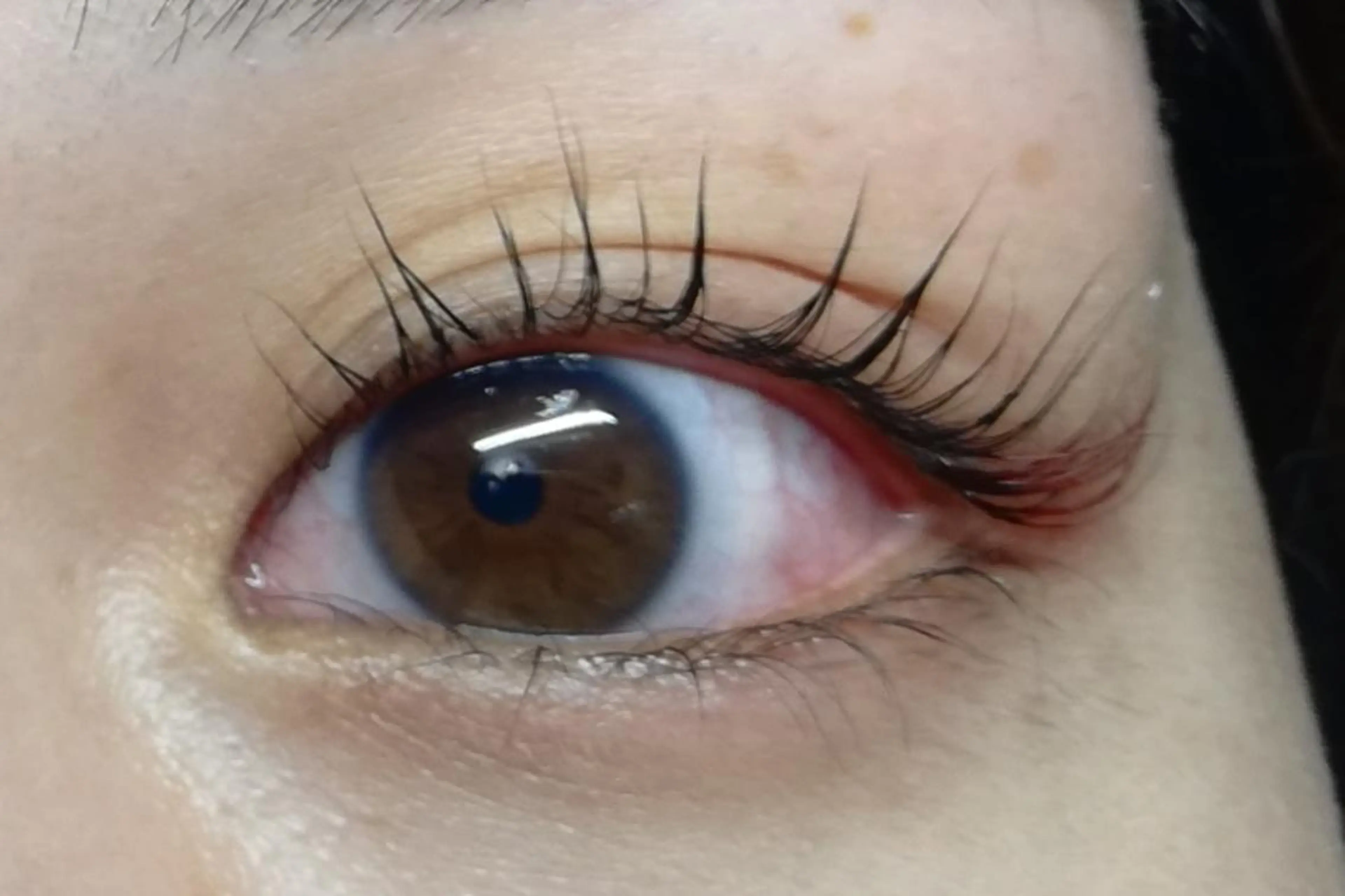 マツエク・マツパ Dカール angelux 所属・完全個室サロン🌹 angelux🌹のマツエク・マツパデザイン