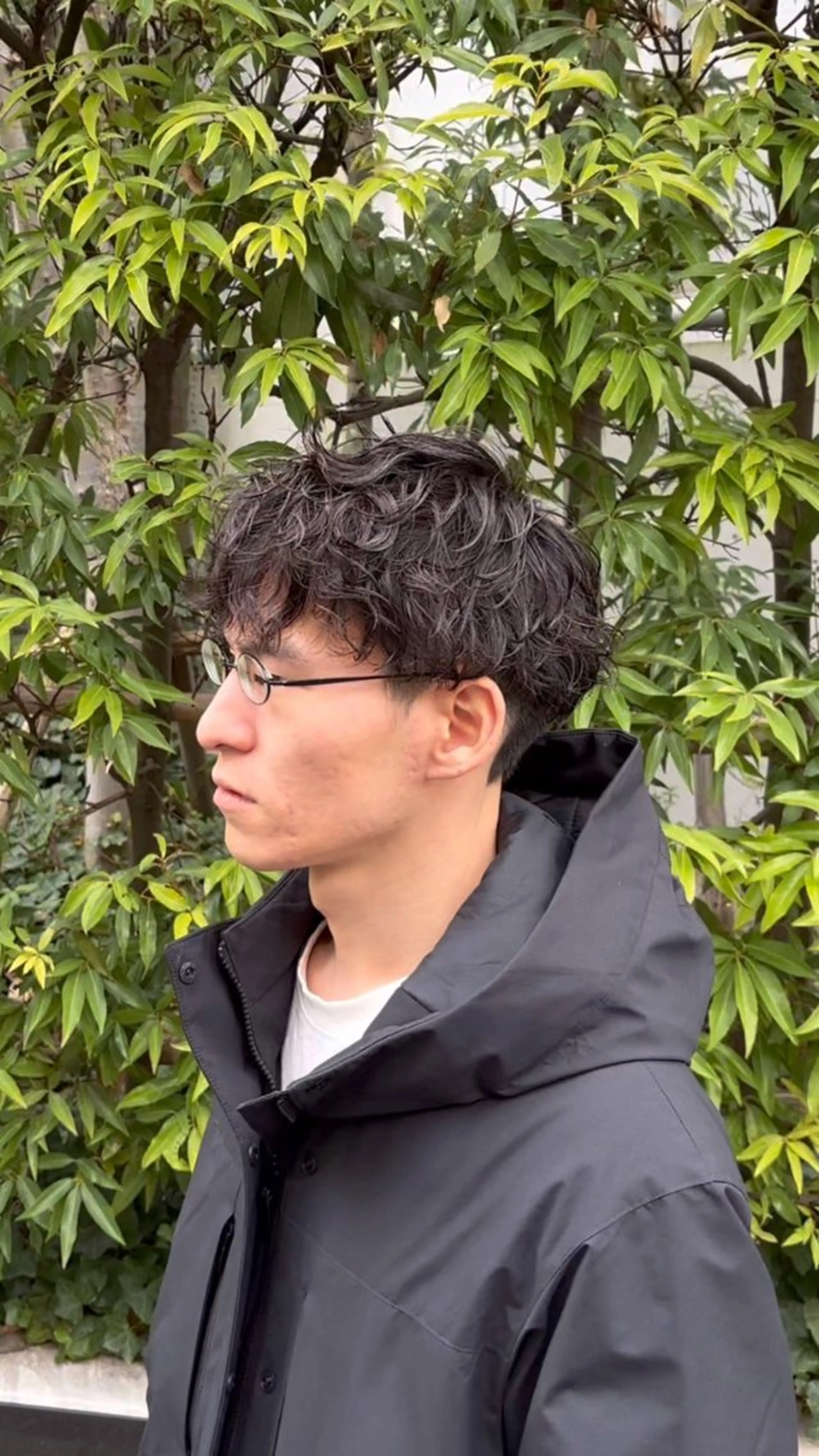 メンズ メンズパーマ 野村 朋生のヘアスタイル