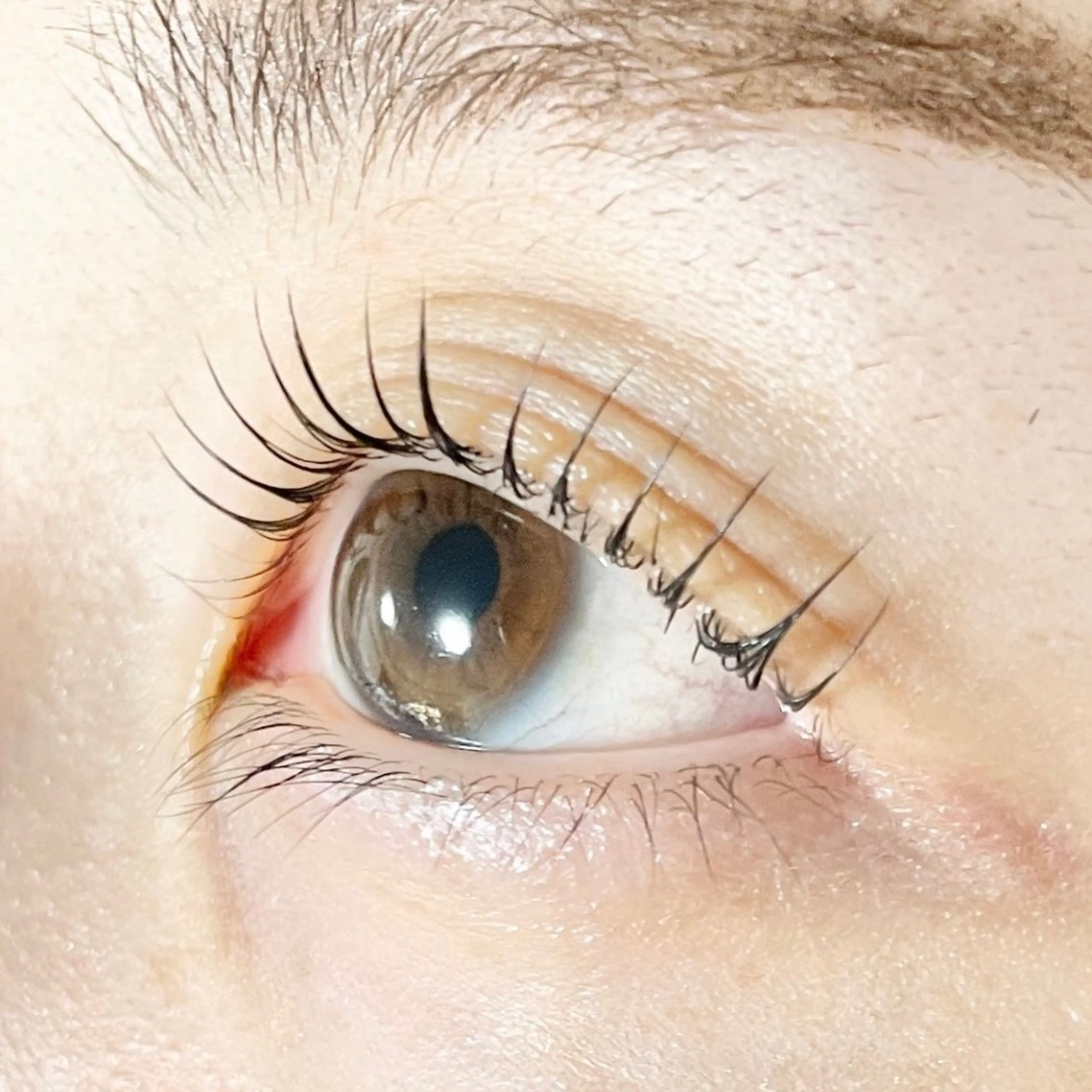 マツエク・マツパ TAKEO🖤 マリーテレジア藤が丘のマツエク・マツパデザイン