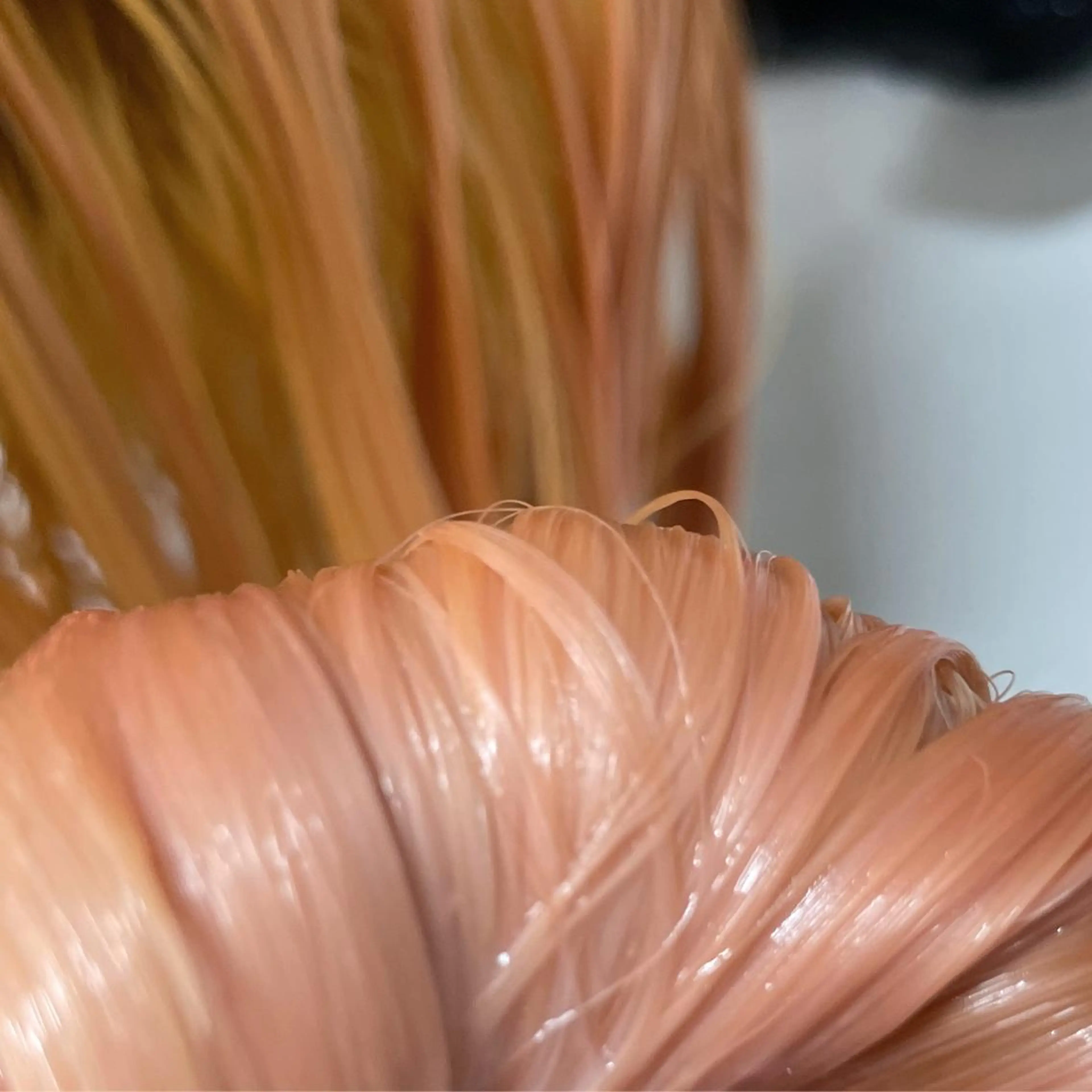 ミディアム カラー MUKU所属・fuka モデル募集のヘアスタイル