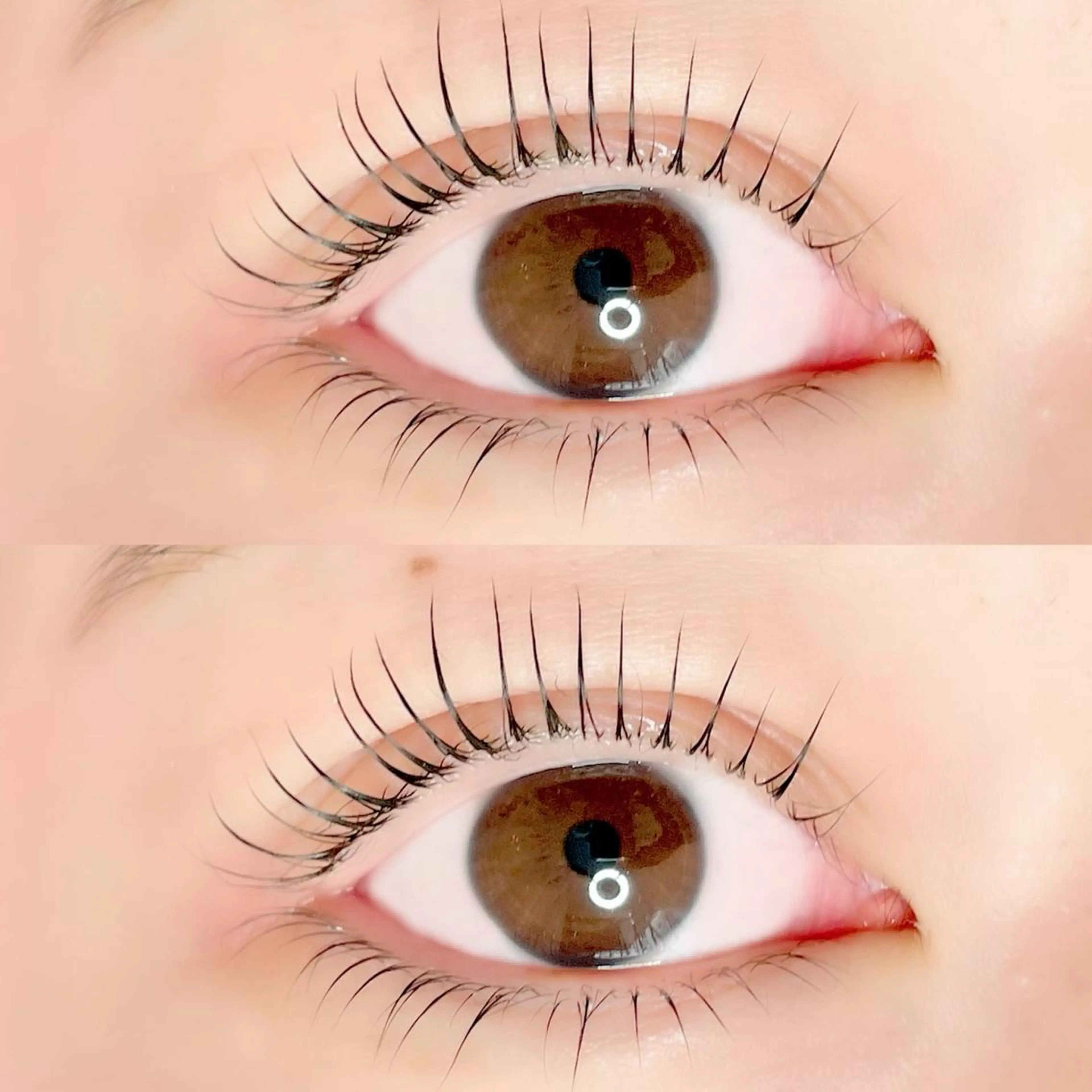 マツエク・マツパ マツパ AYLASH🧡 猪又のマツエク・マツパデザイン