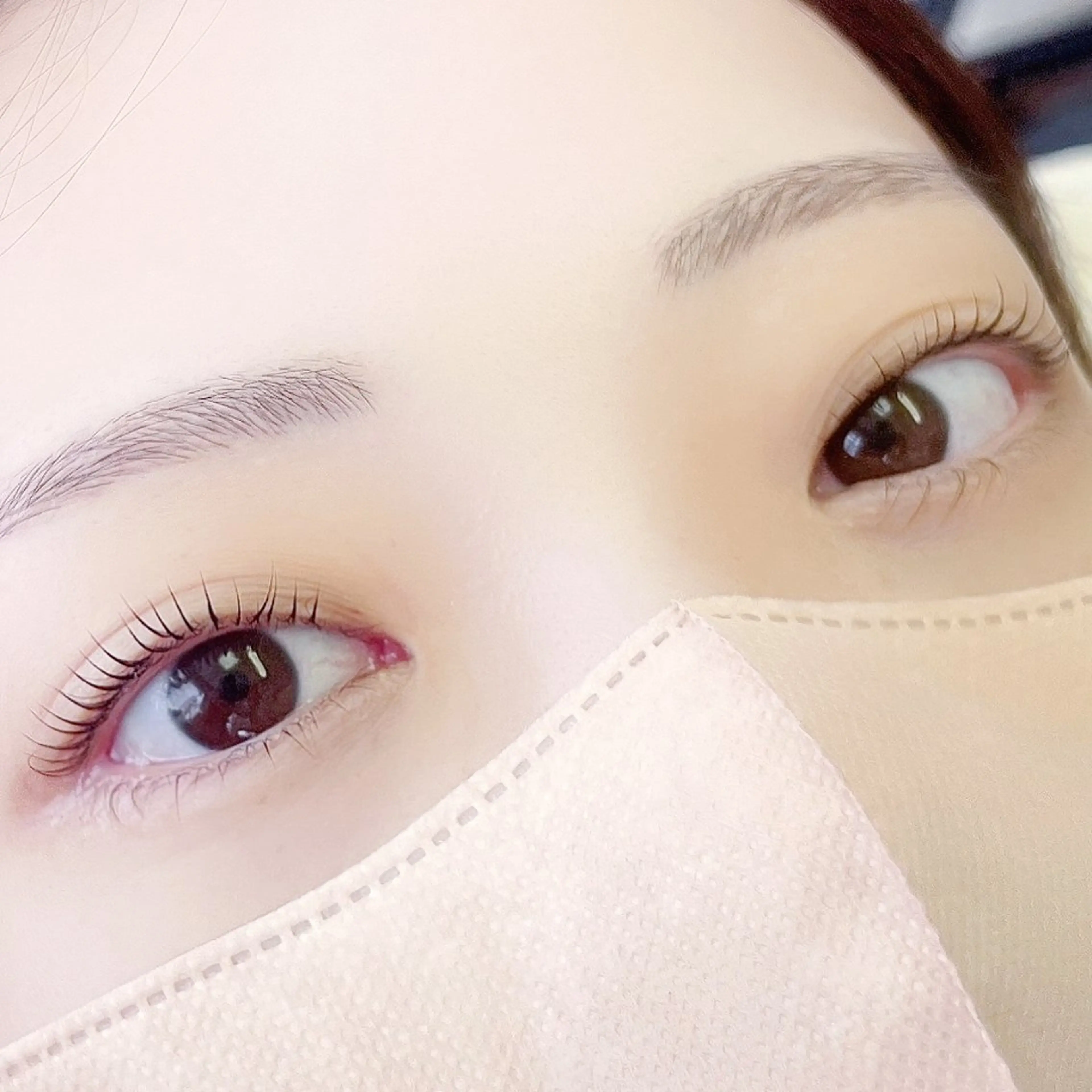 【9月限定】まつげパーマ上下💫の写真