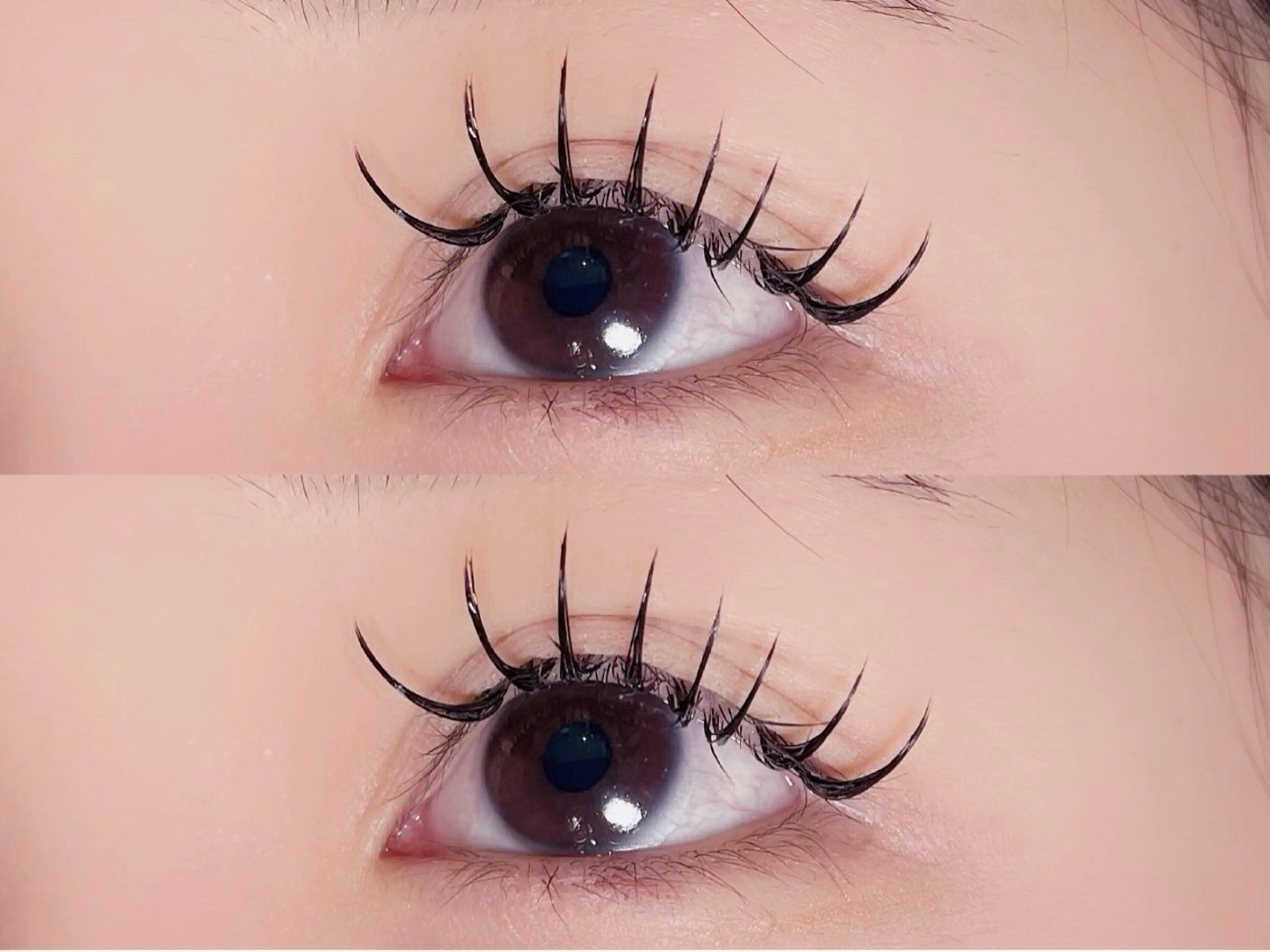 【11月限定】🌟バインドロック60束(フラ80​〜​100本程)🌟⚠️必ず注意事項ご確認の上ご予約お願いいたします！の写真