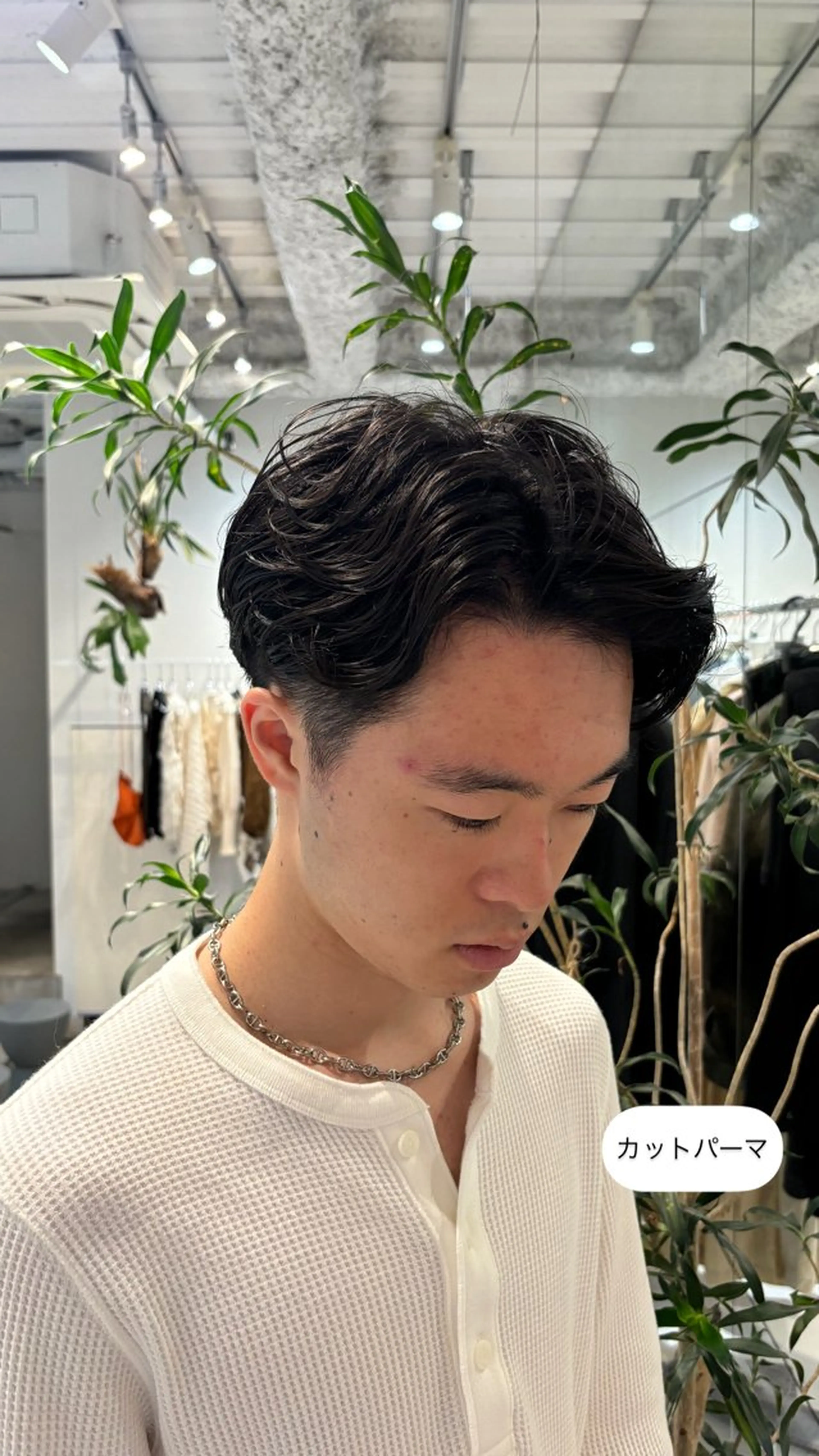 パーマ メンズ カット パーマ ANY/須田 麻人/パーマスタイルのヘアスタイル