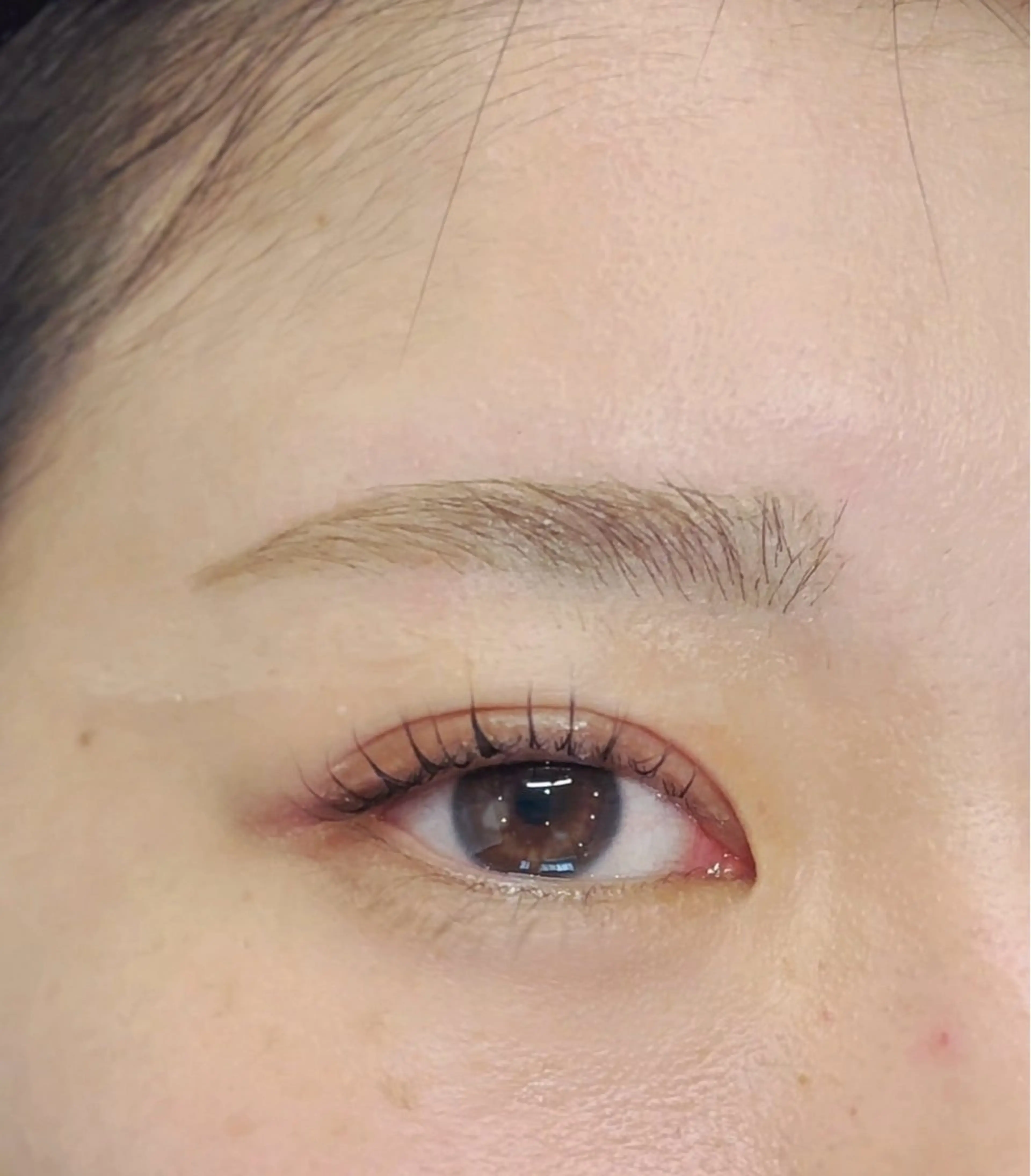 【似合わせ眉毛】美眉スタイリング＋ワックス脱毛＋間引き＋メイク　90分の写真