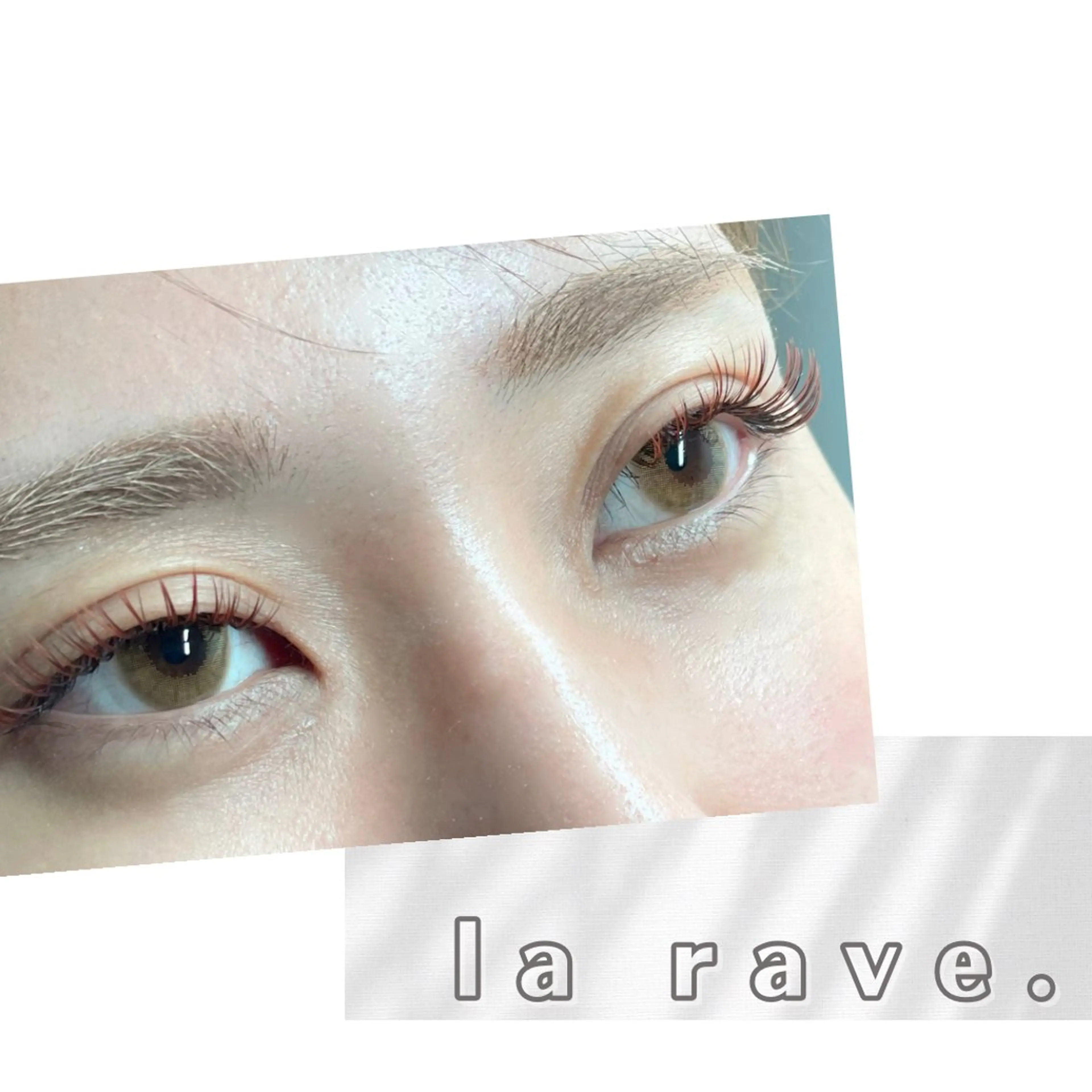アンドヘルシー×バインドロック80束の写真