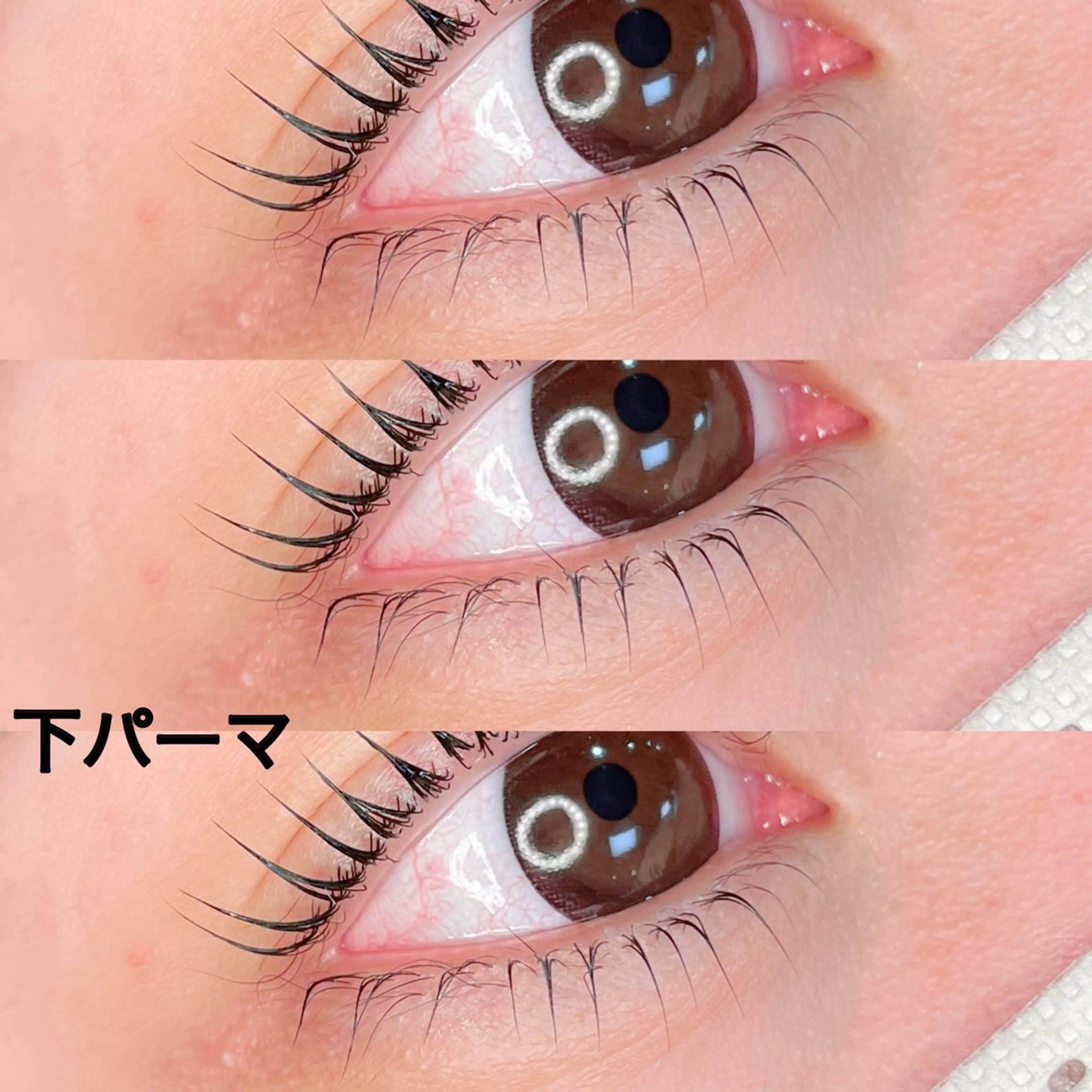 【単品】下まつげパーマ［他メニューと併用4000円］［再来様＋500円］の写真