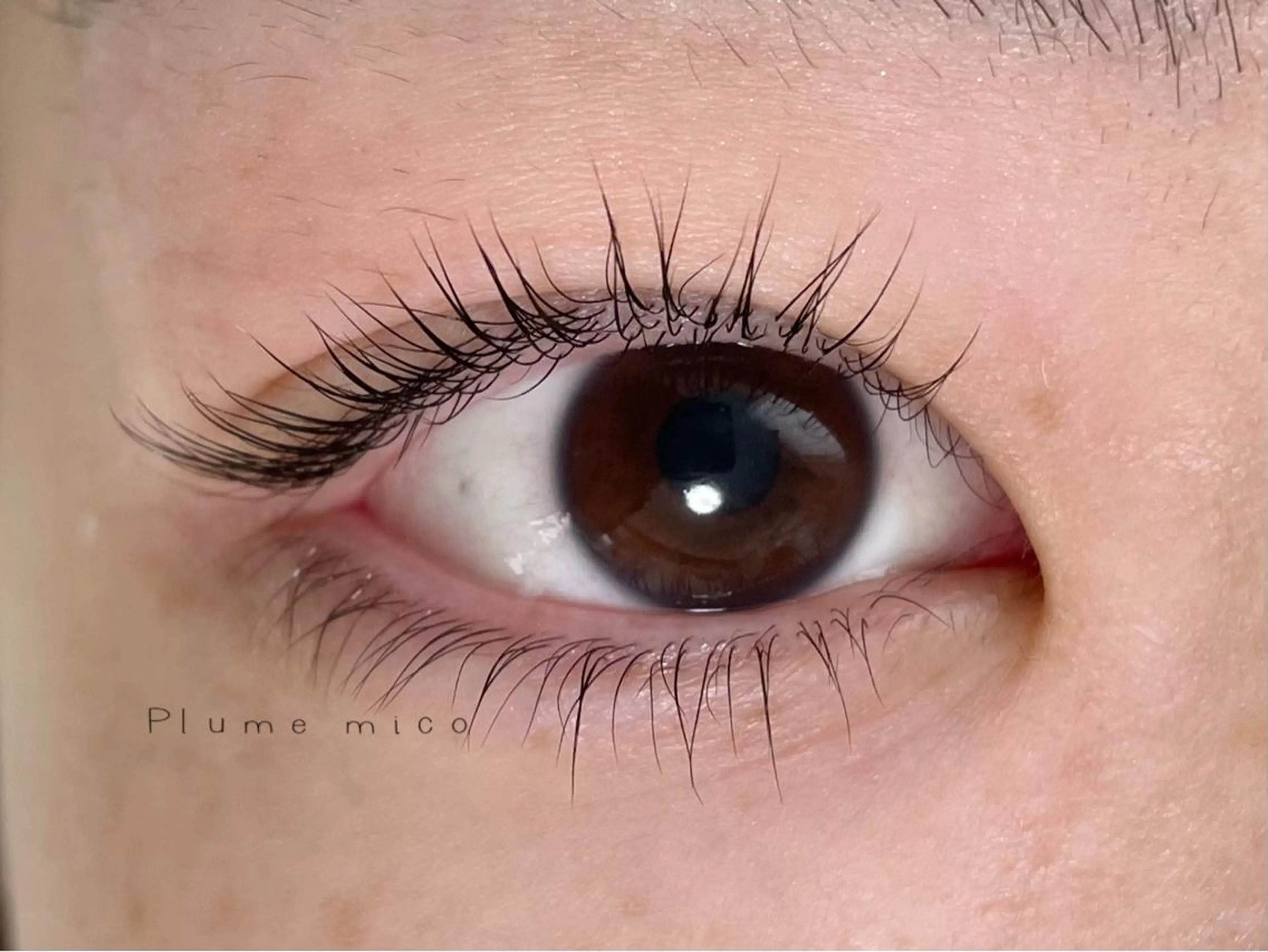 マツエク・マツパ マツパ Plume micoのマツエク・マツパデザイン