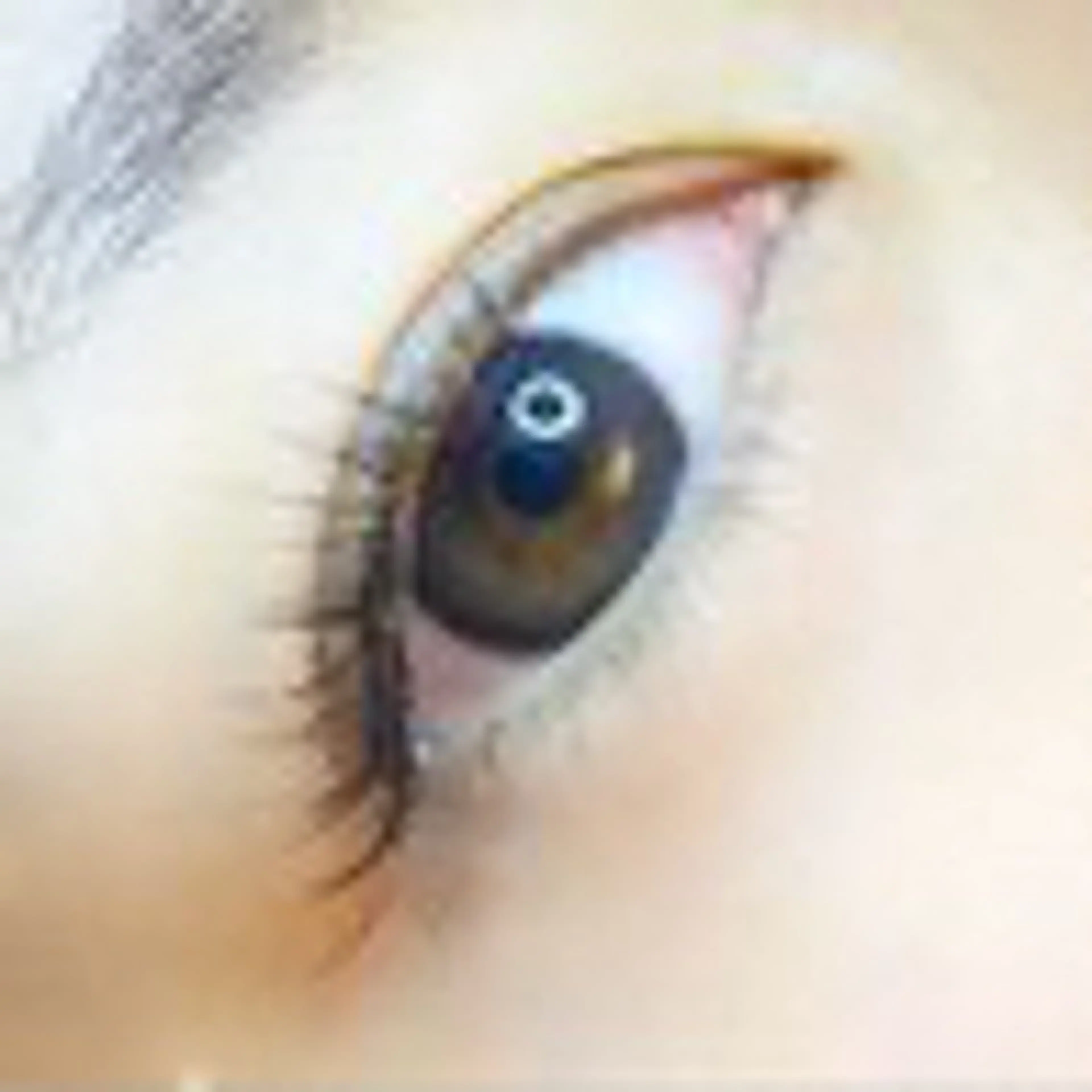 マツエク・マツパ マツエク eyelash salon R.所属・eyelash salon R.のマツエク・マツパデザイン