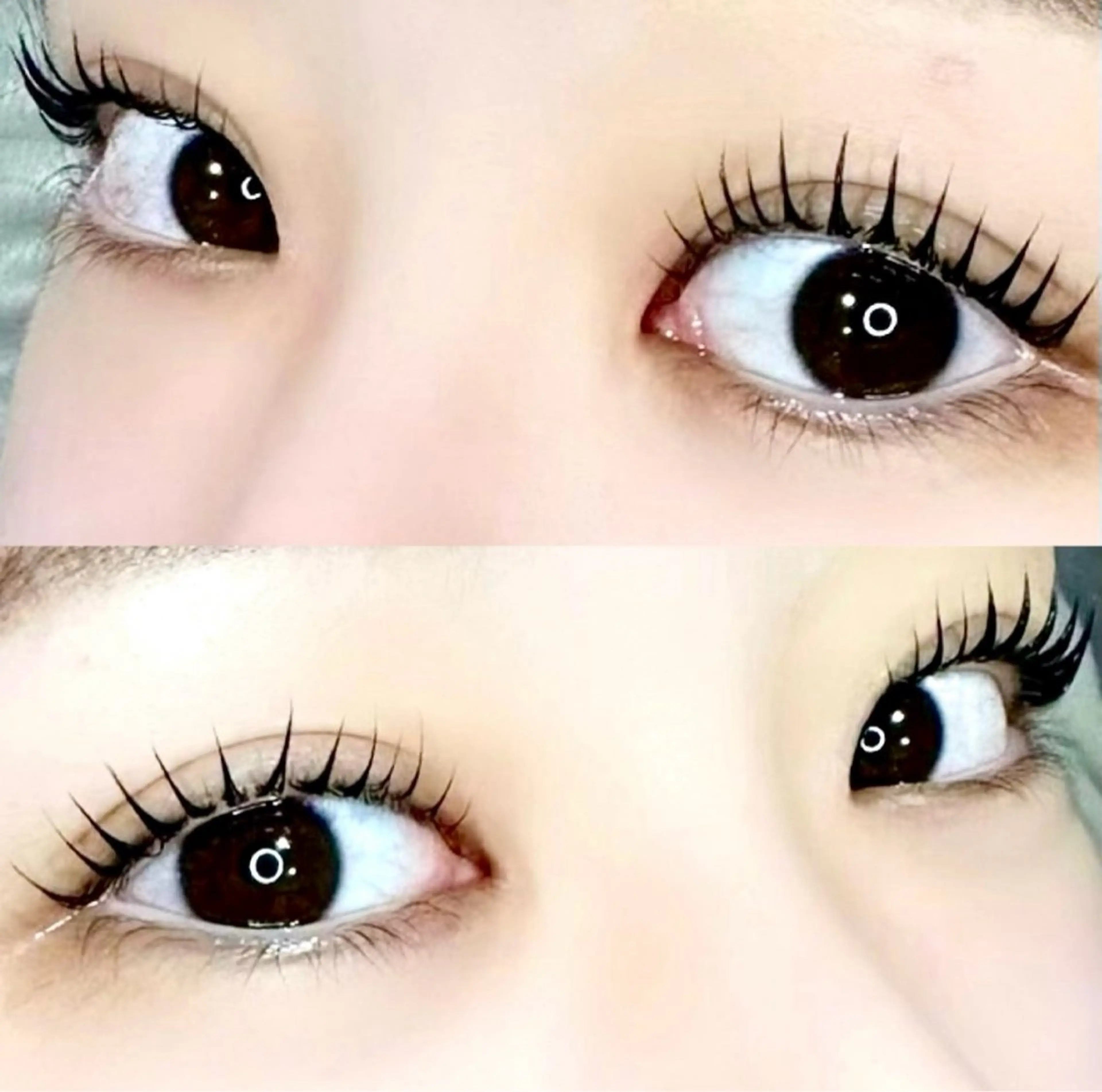 マツエク・マツパ マツパ 🦖fein. YUINA🦕⋆͛のマツエク・マツパデザイン