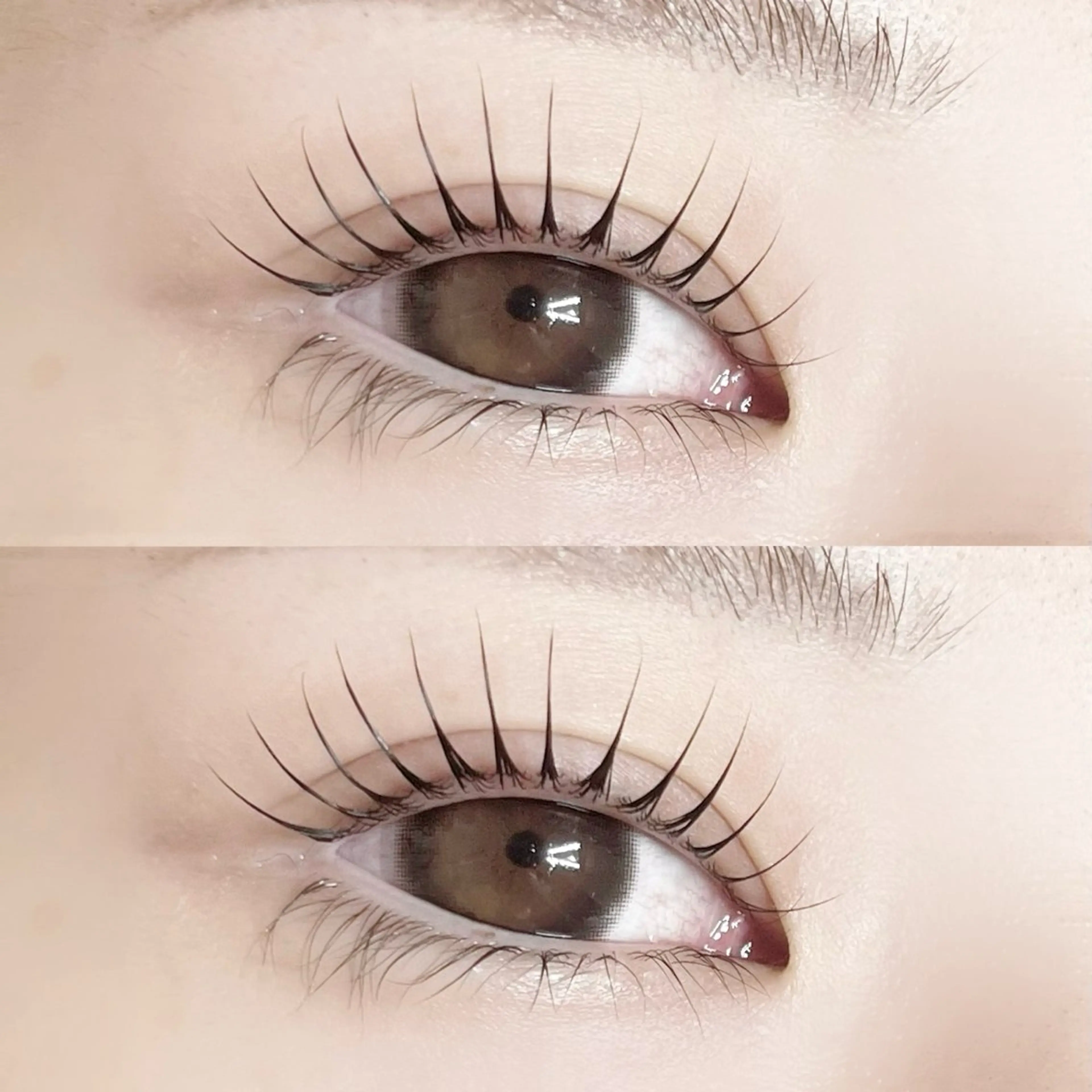 マツエク・マツパ マツパ Pupu lash🐱のその他イメージ