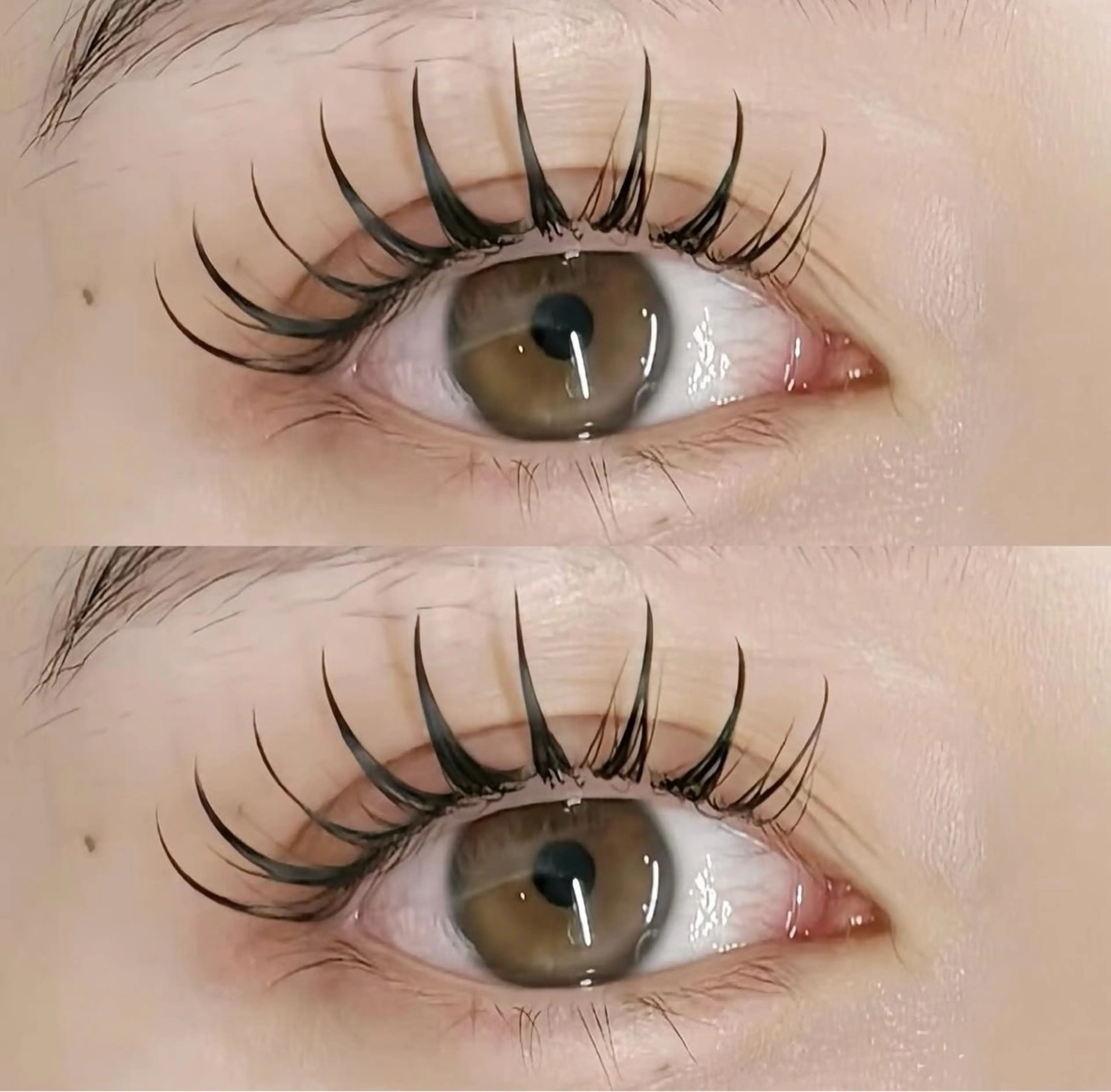 フラットラッシュ　100本の写真