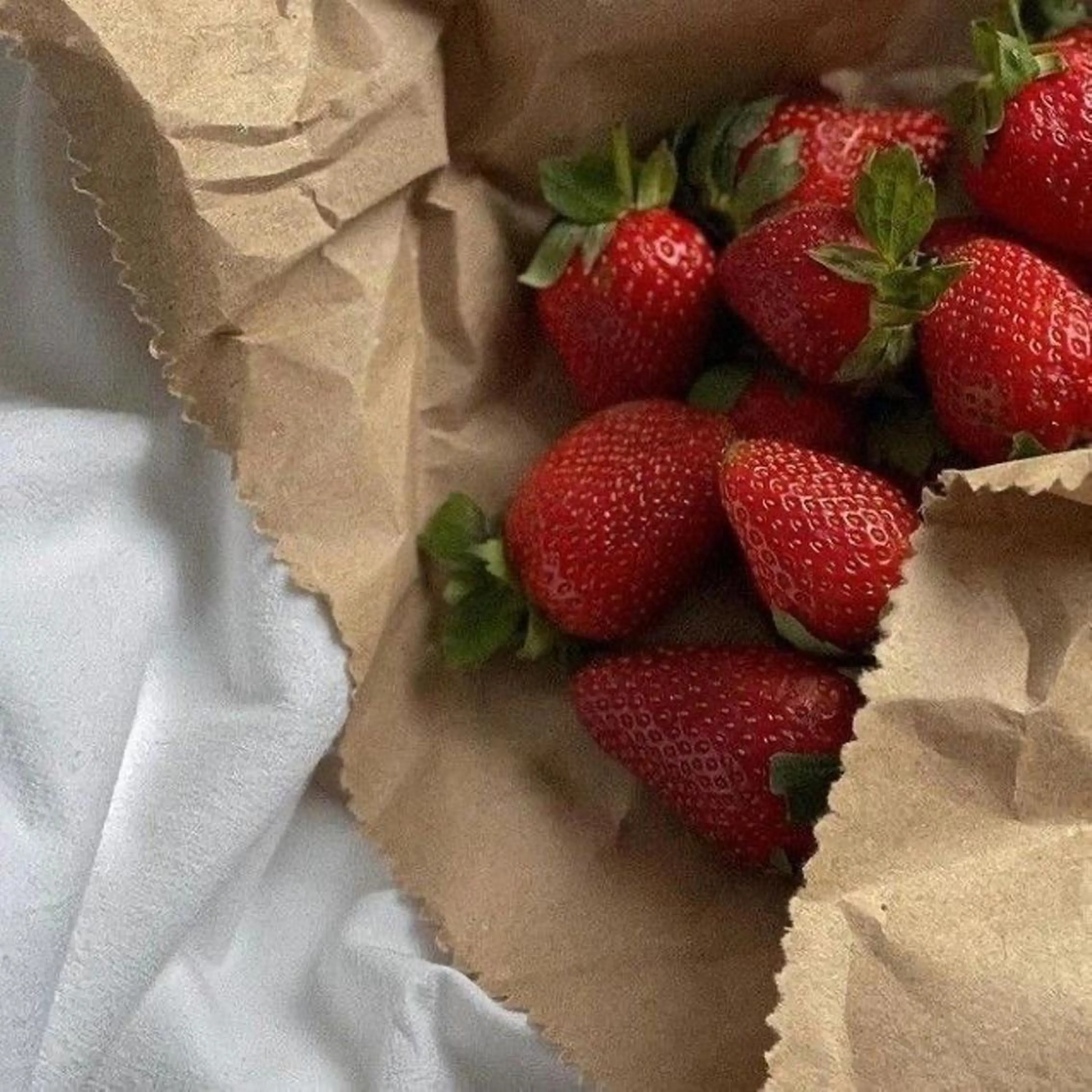 IwAsh  大和駅店所属・shiho .のヘアスタイル