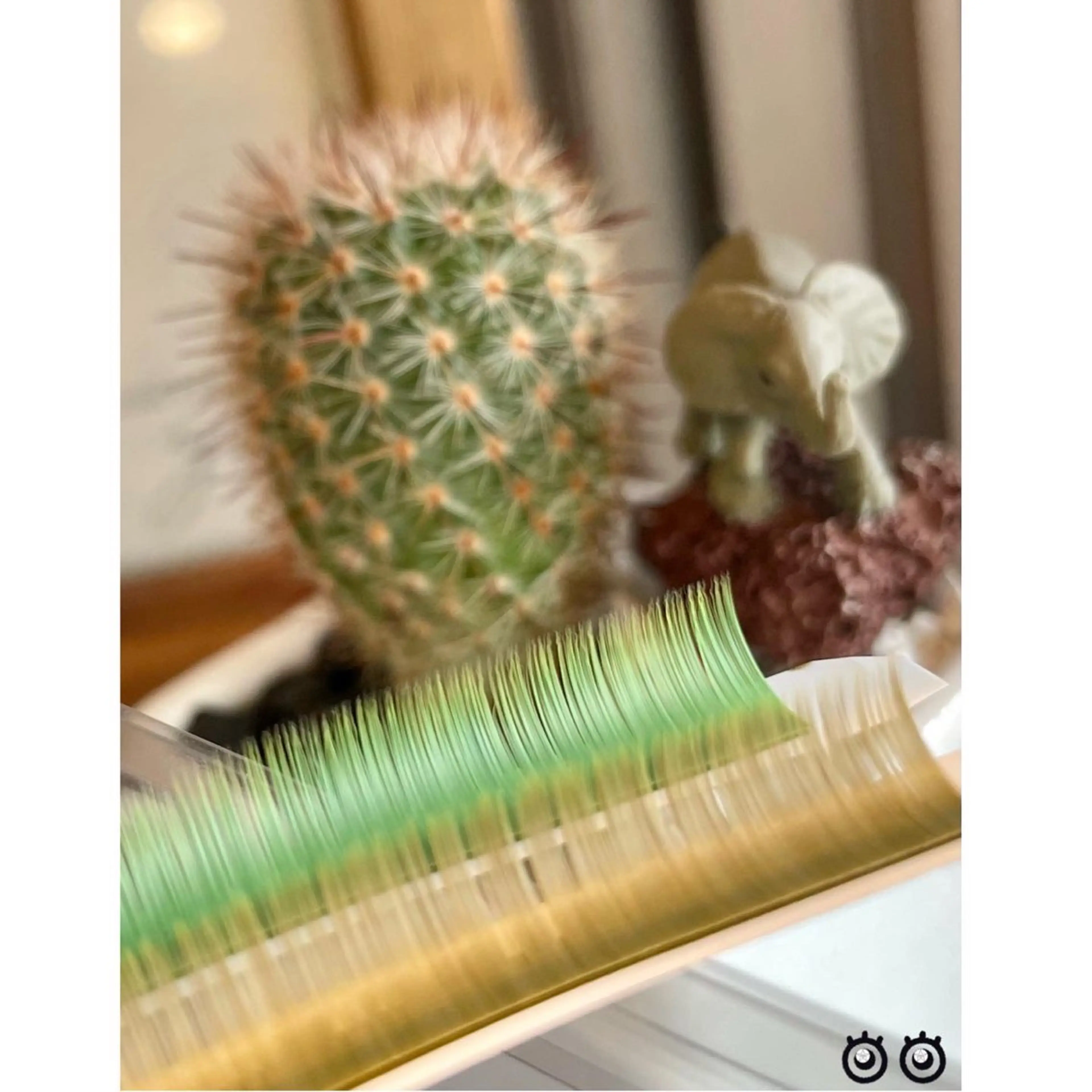 マツエク・マツパ フラットラッシュ hair lounge comme moi所属・TOMO☆ 高島平のマツエク・マツパデザイン