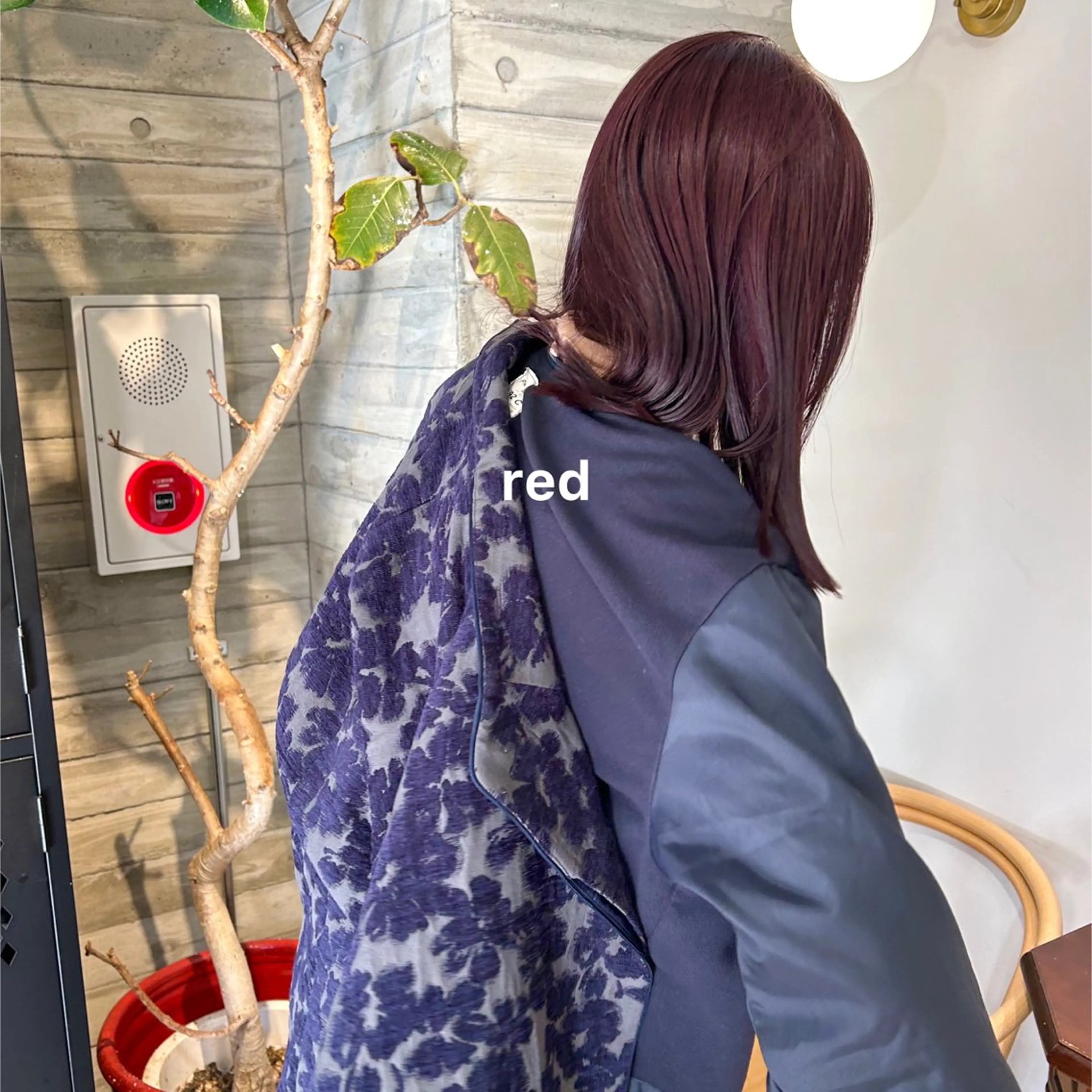 カラー 暖色カラー推し/ トヤエリコのヘアスタイル