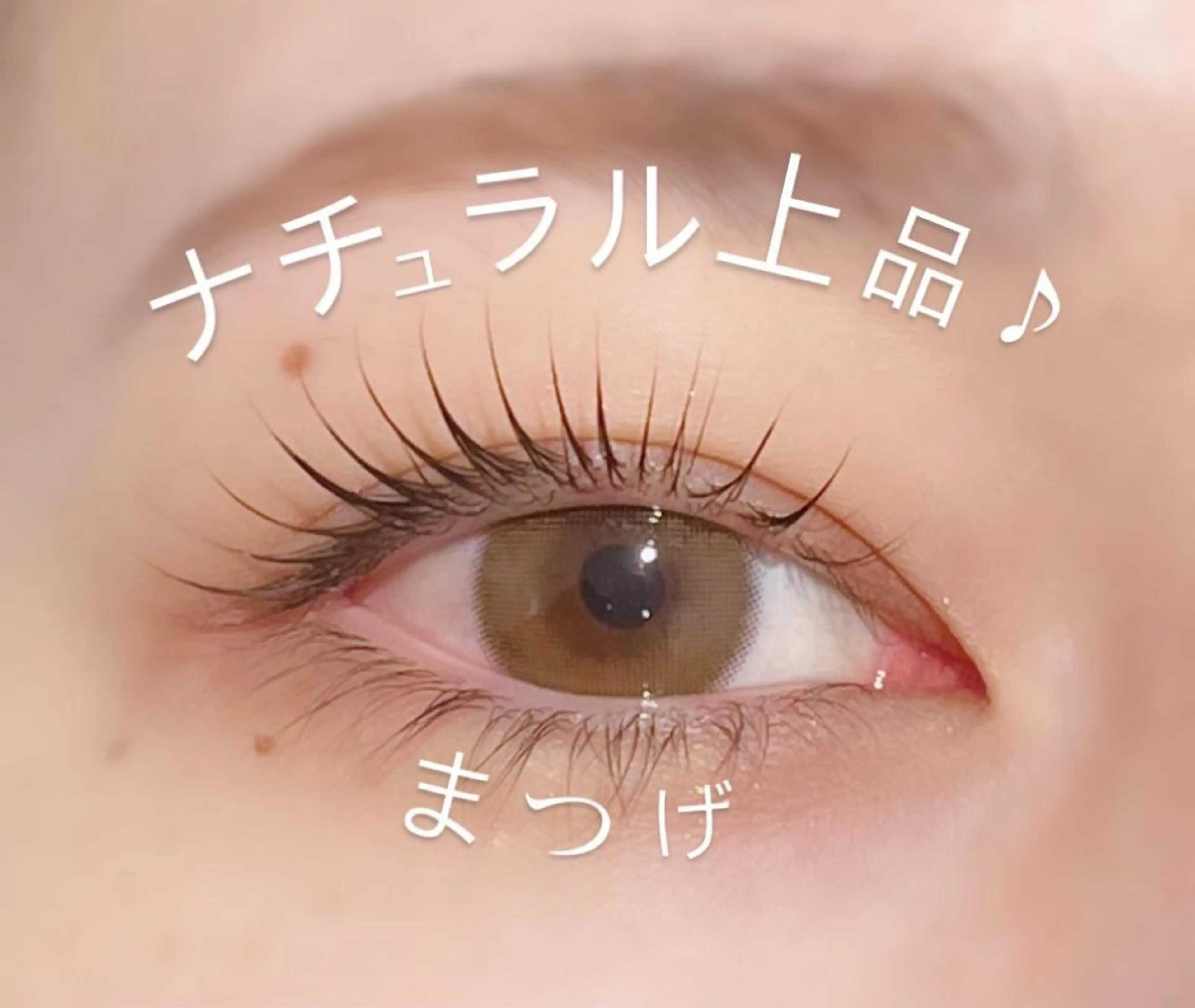マツエク・マツパ フラットラッシュ 韓国風マツエク まつげパーマ マツパ Biolus／天王寺 ２号店🌼Arisaのマツエク・マツパデザイン