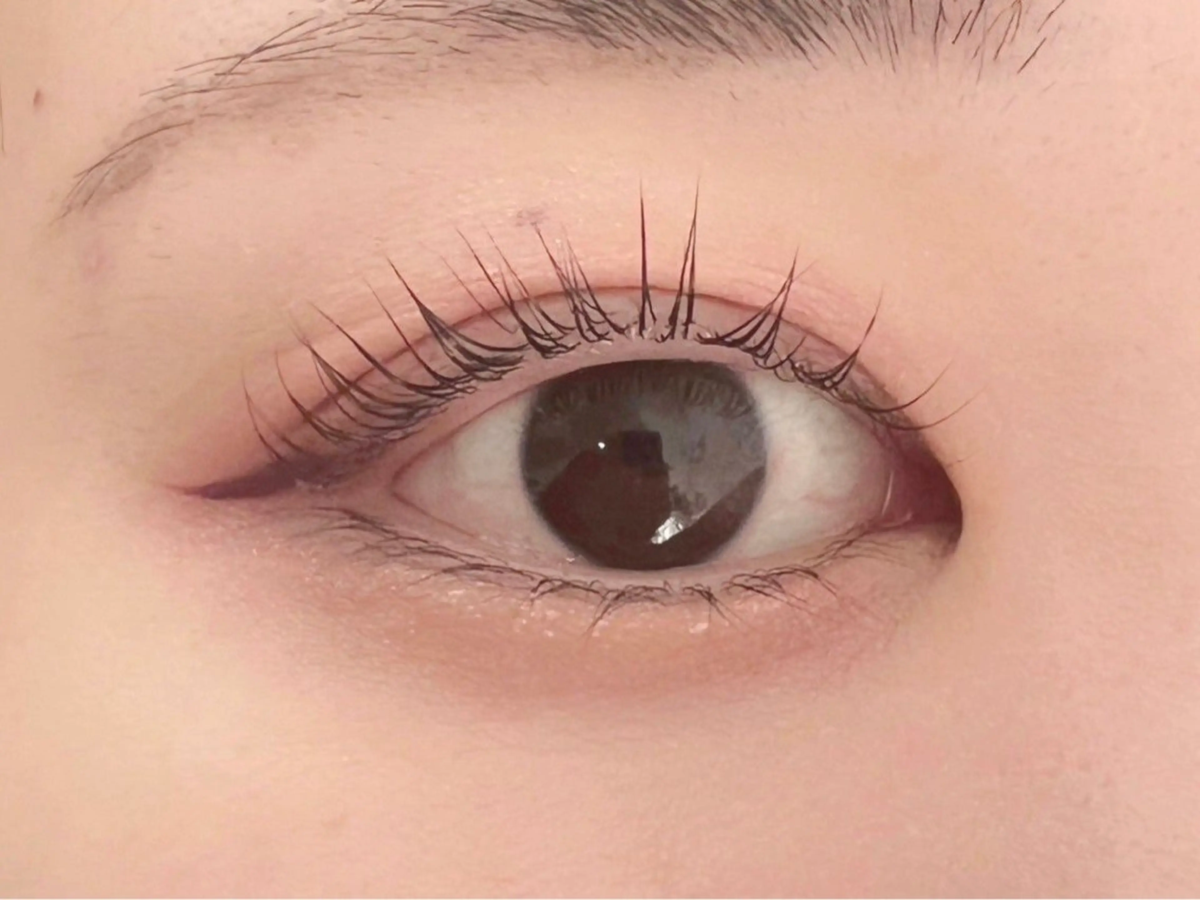 マツエク・マツパ マツパ Honey＆Miel ‪🐣‎🤍AiRiのマツエク・マツパデザイン