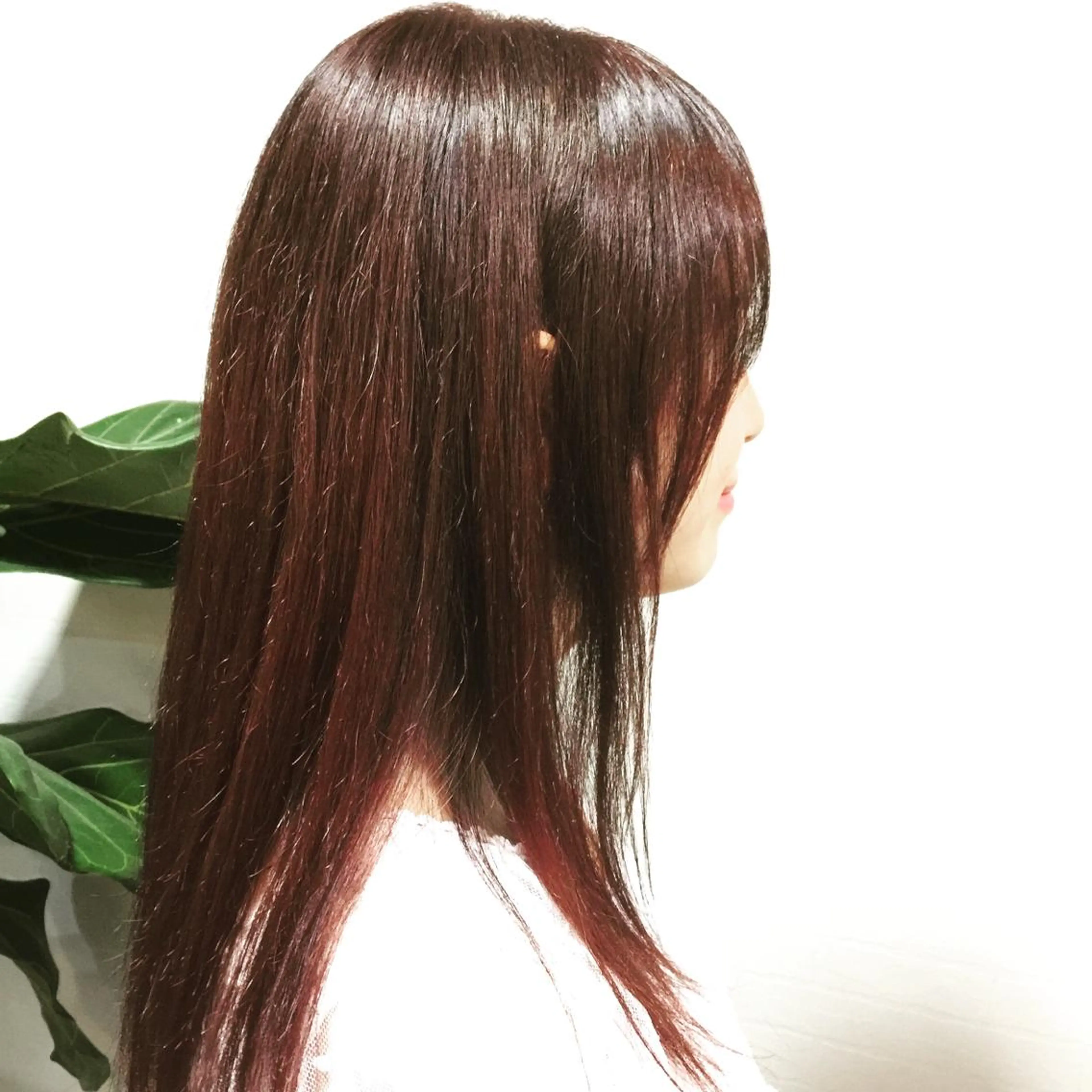 カラー イルミナカラー 💜ツヤヘアケア🩷 サトウシュンスケのヘアスタイル