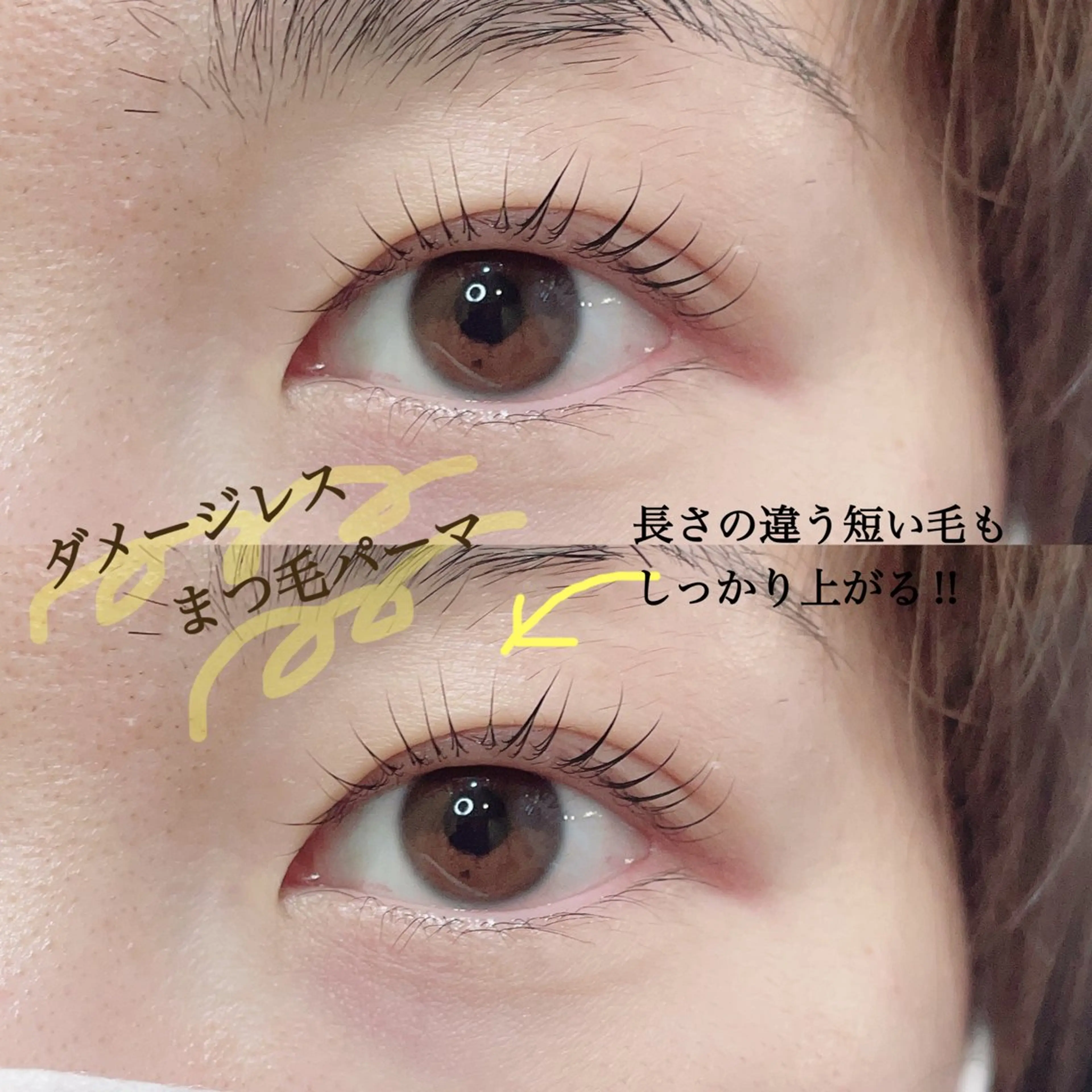 マツエク・マツパ まつげパーマ マツパ SEALA 高石店所属・SEALA 高石の眉毛・アイブロウイメージ