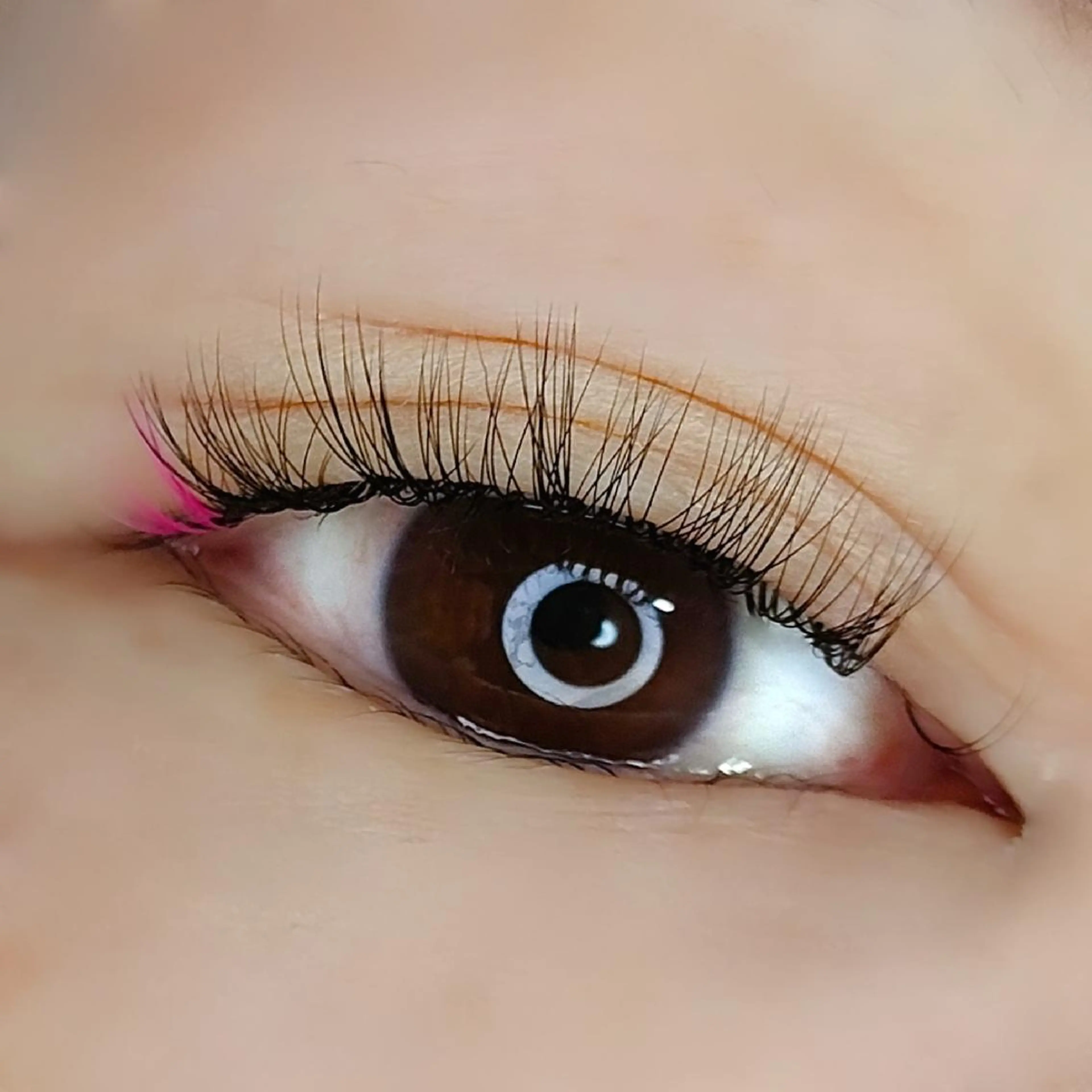 マツエク・マツパ 平山 ゆりのマツエク・マツパデザイン