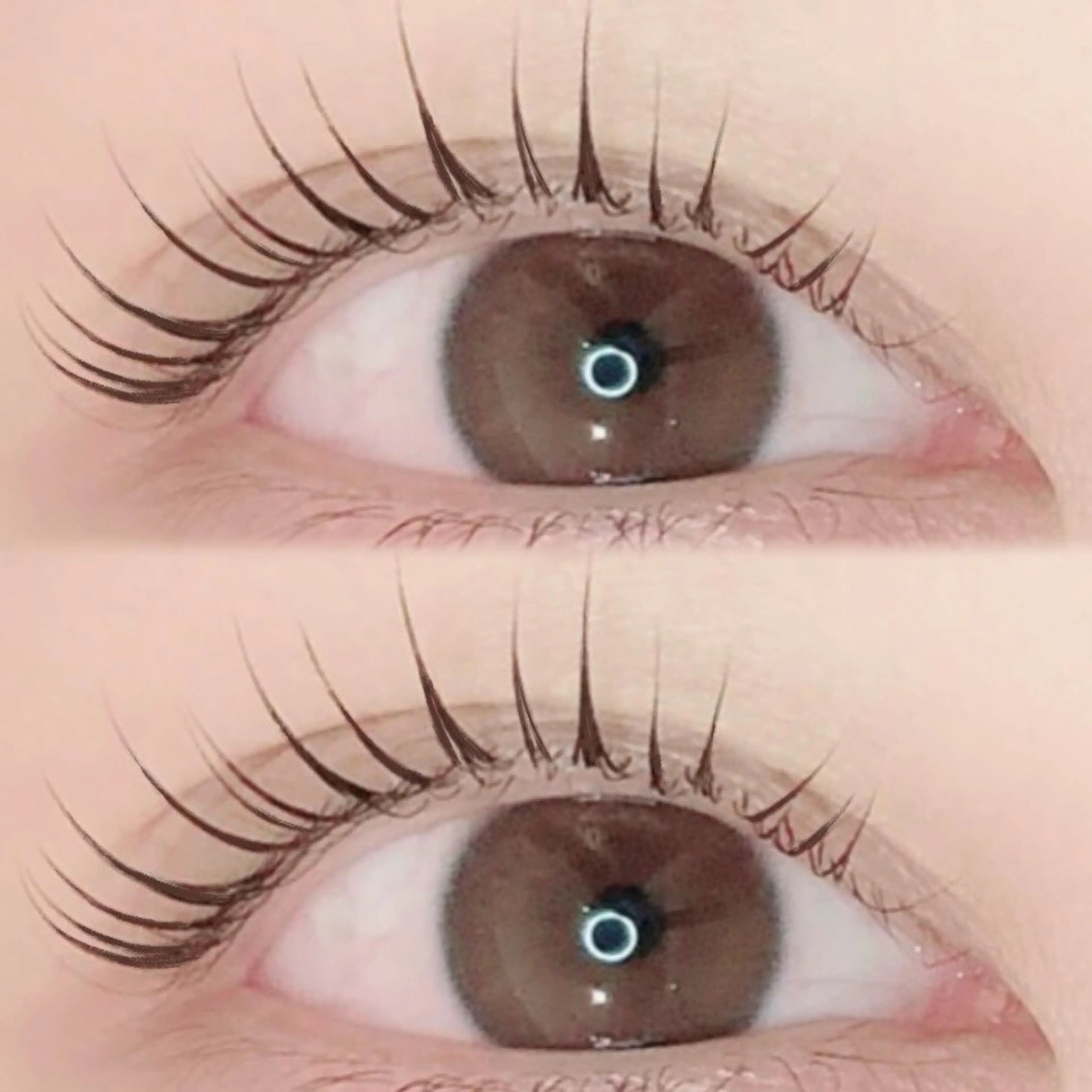 【新メニュー⭐️】SNSで話題!マスカラパーマ!※リピーター様5500円の写真