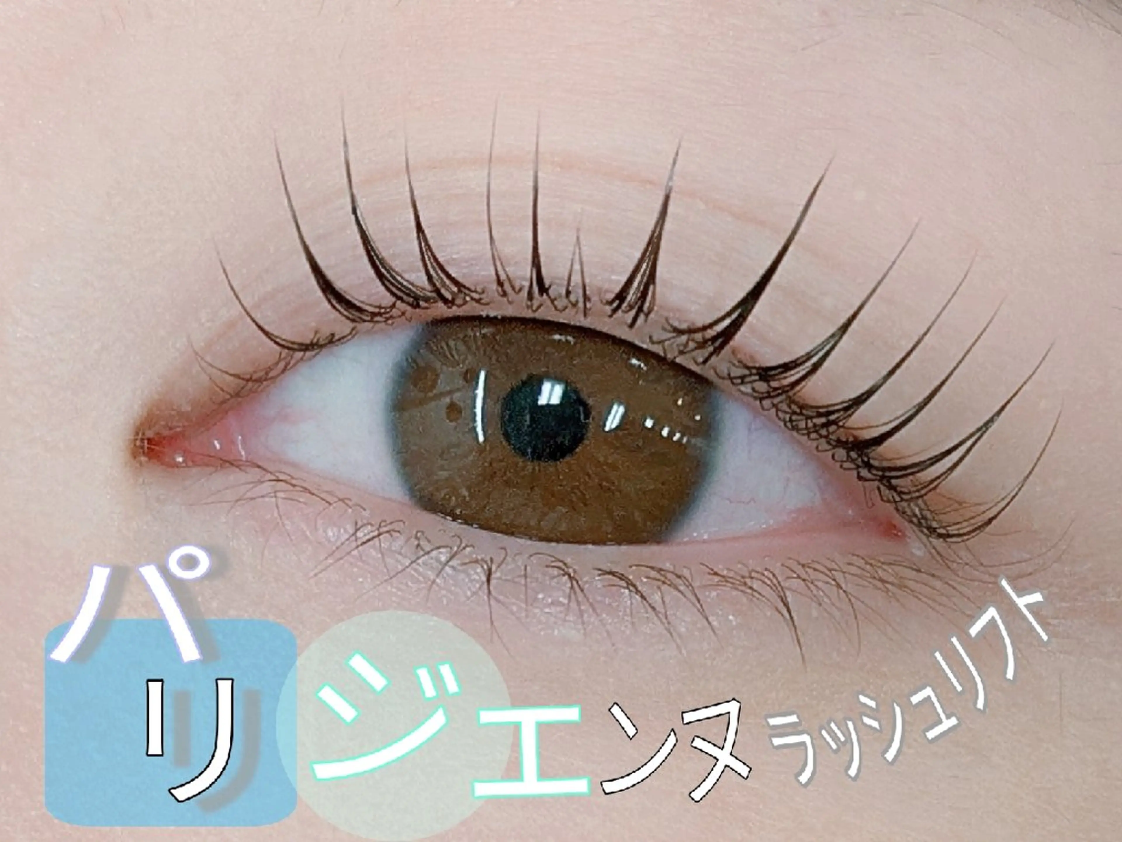 マツエク・マツパ パリジェンヌラッシュリフト マツパ 《amii》 ☆さいとうのマツエク・マツパデザイン