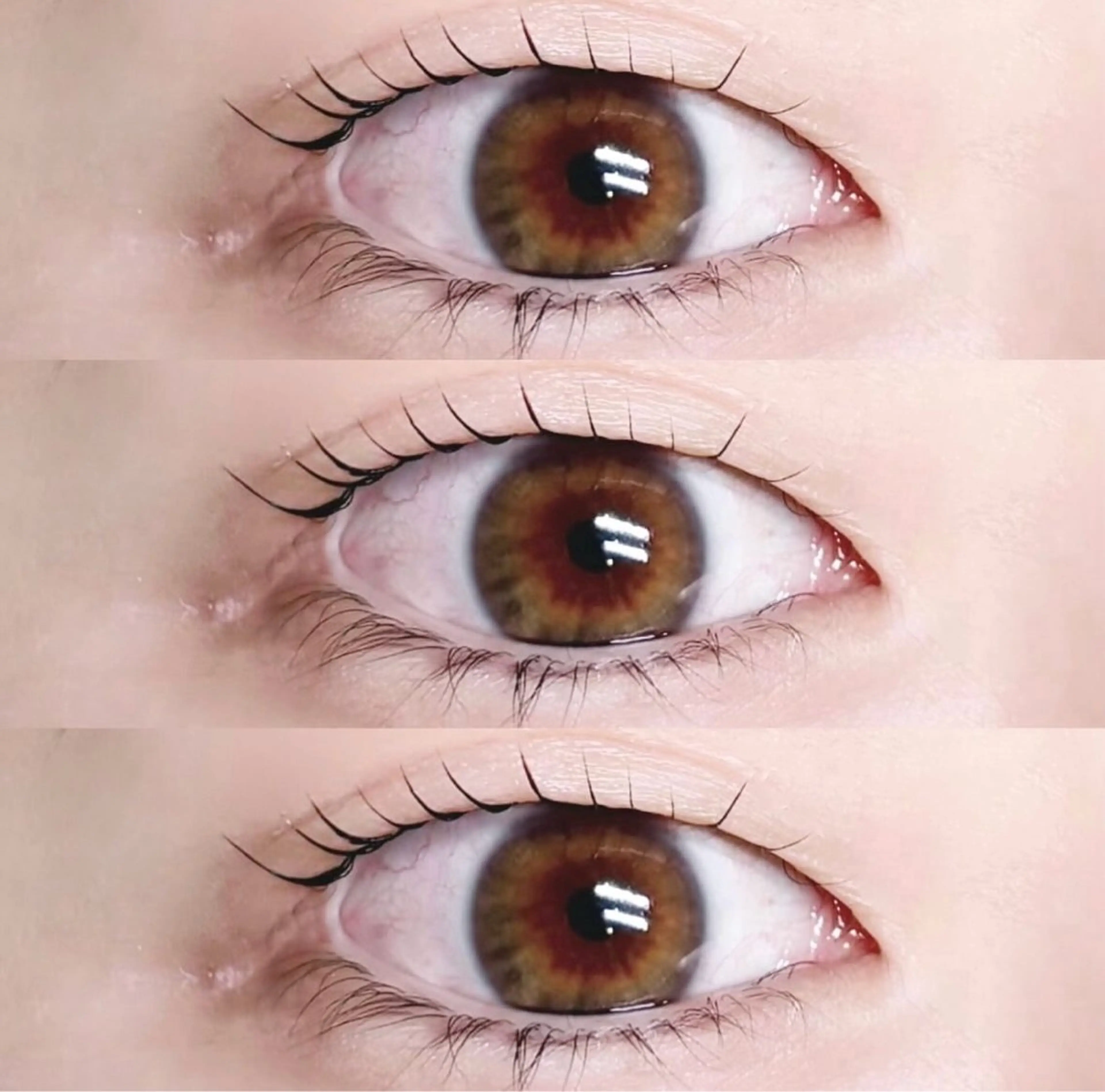 ãããšã¯ã»ããã ããã asuka ðConnectã®ãããšã¯ã»ããããã¶ã€ã³