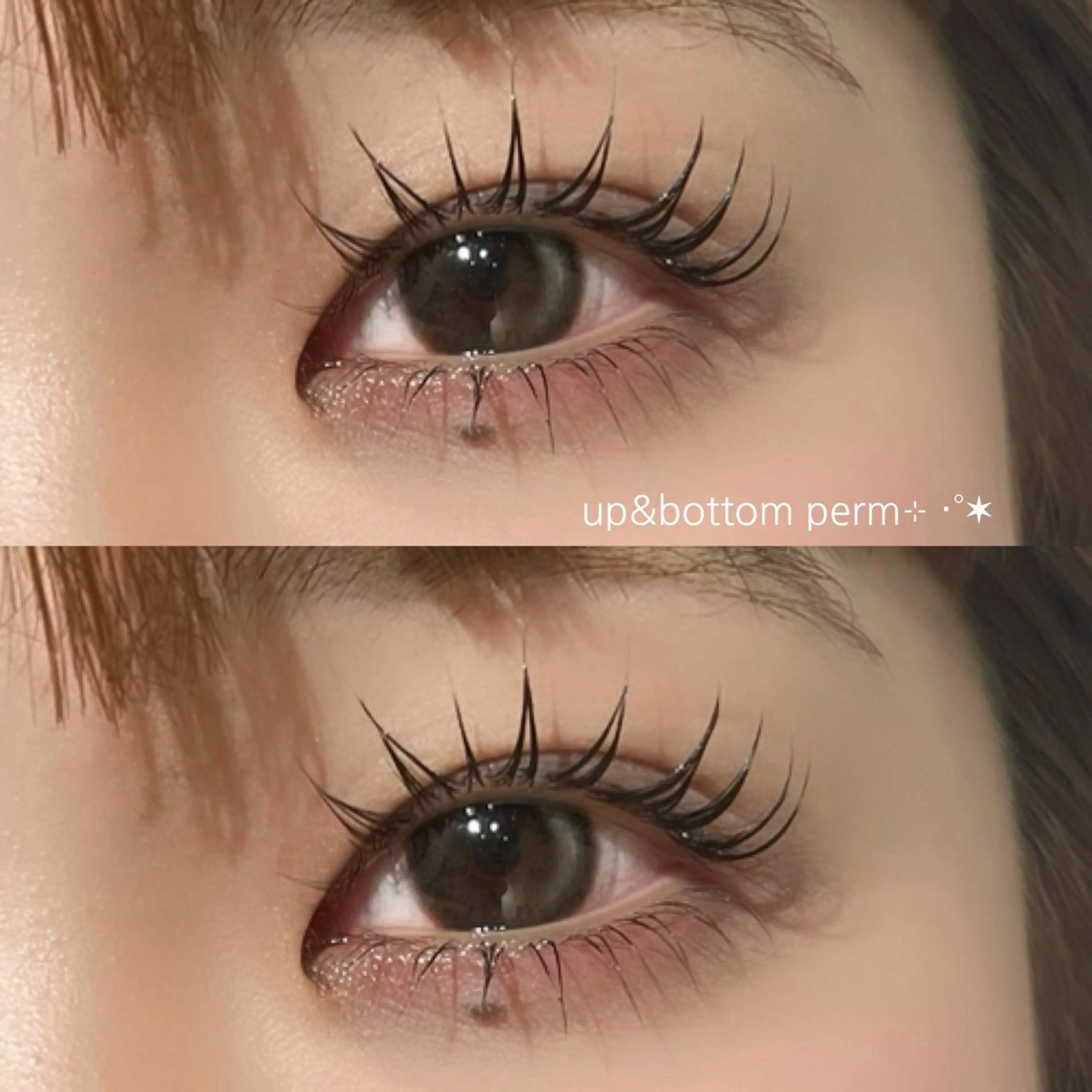 マツエク・マツパ マツパ 🎀NORA ayakaのマツエク・マツパデザイン