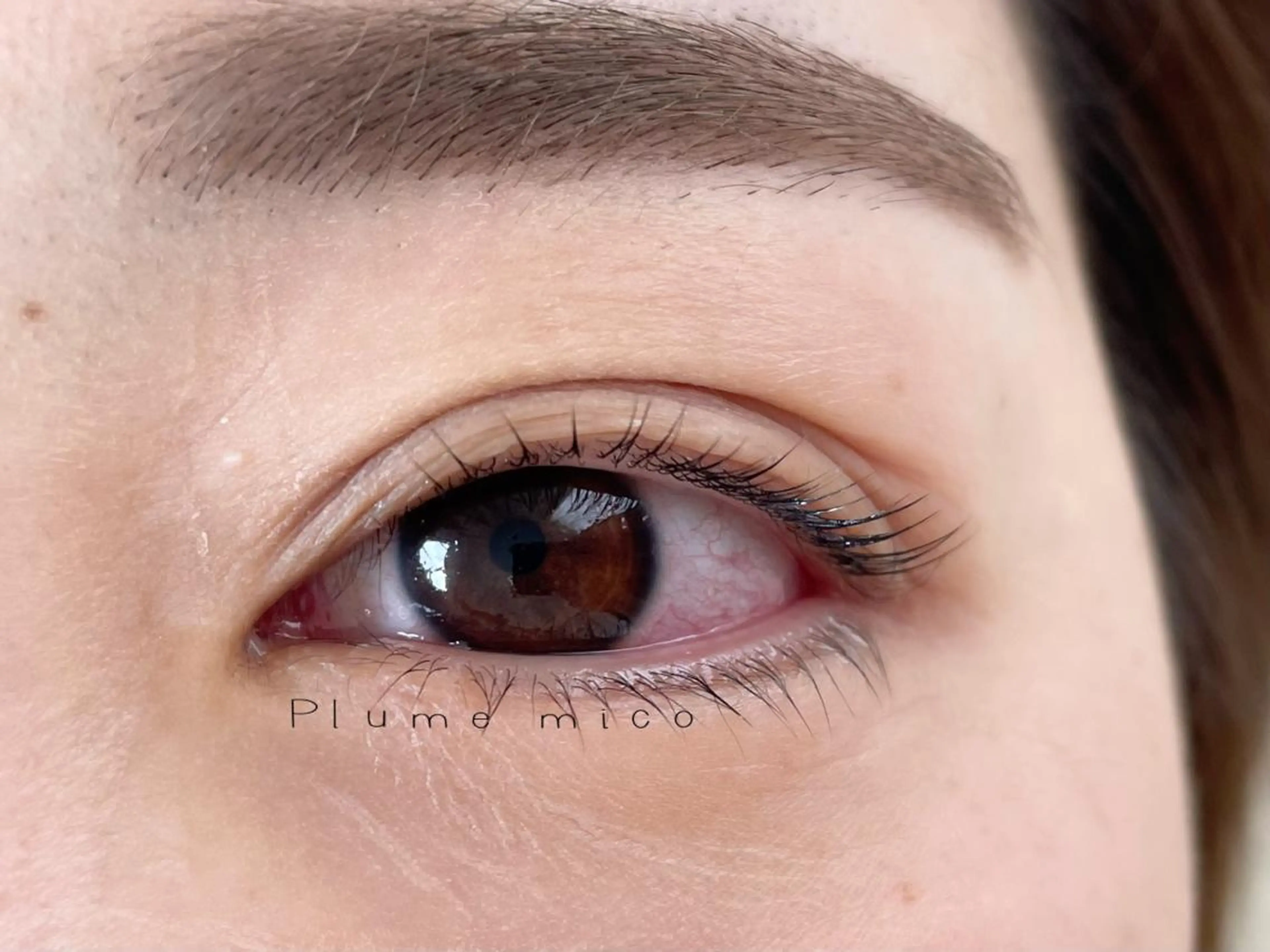 マツエク・マツパ マツパ Plume micoのマツエク・マツパデザイン