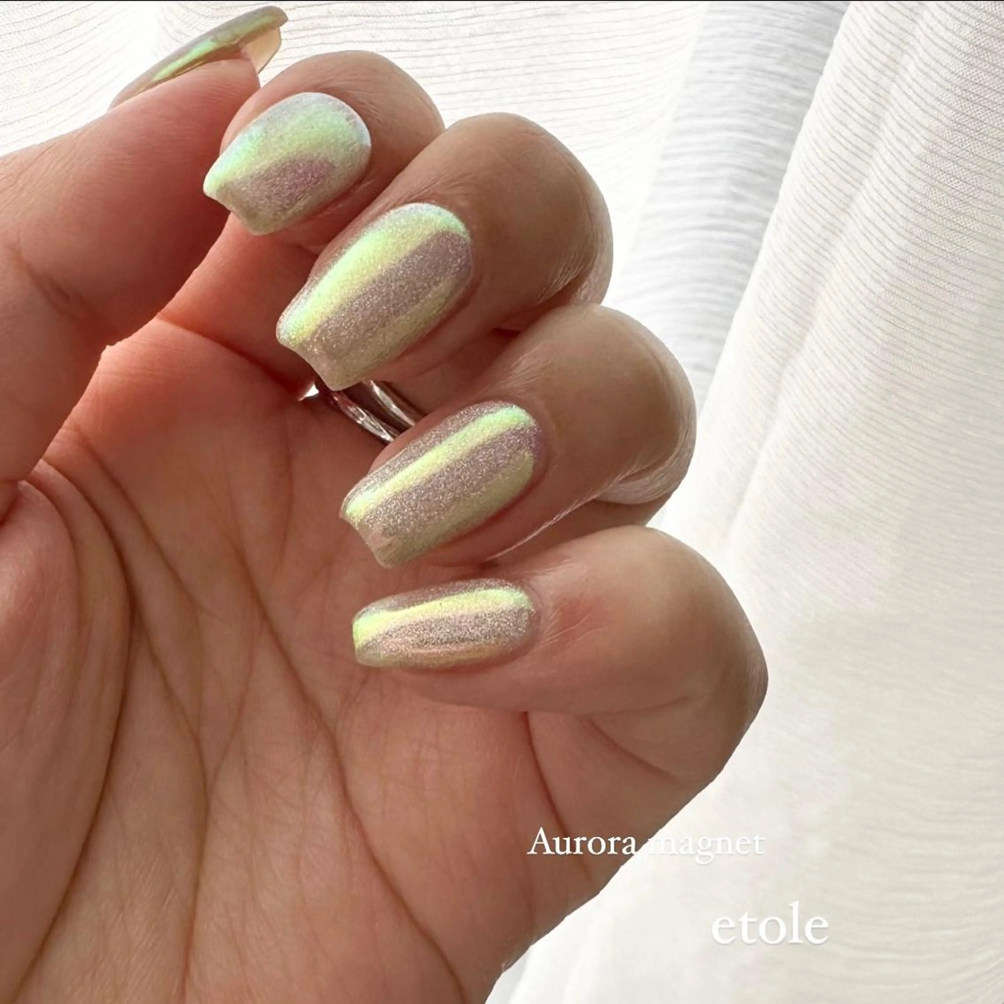 ネイル オーロラネイル ハンドネイル nail salon etoleのネイルデザイン