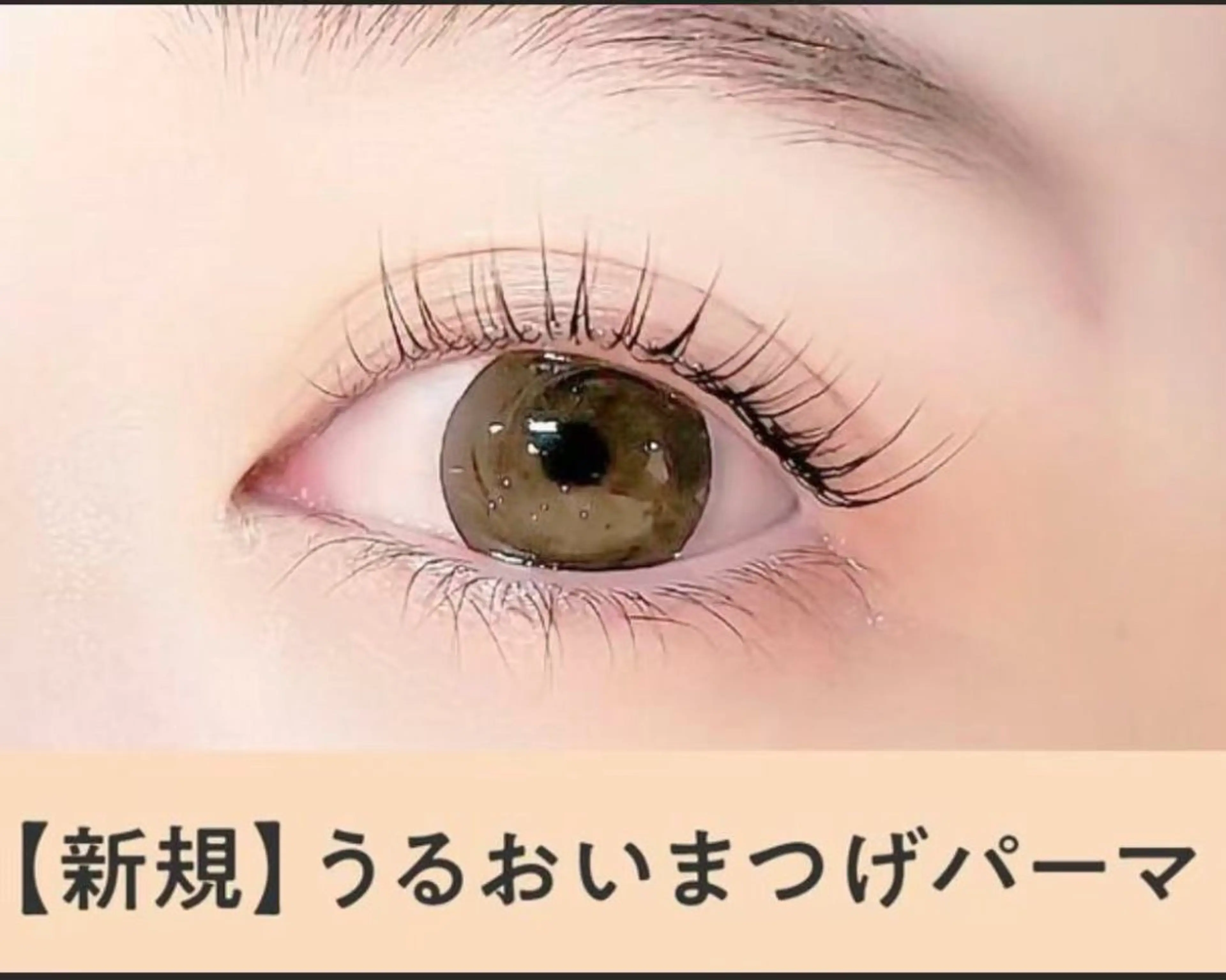 【新規】潤いまつげパーマ+ブラックコーティング ¥4660→¥3660の写真