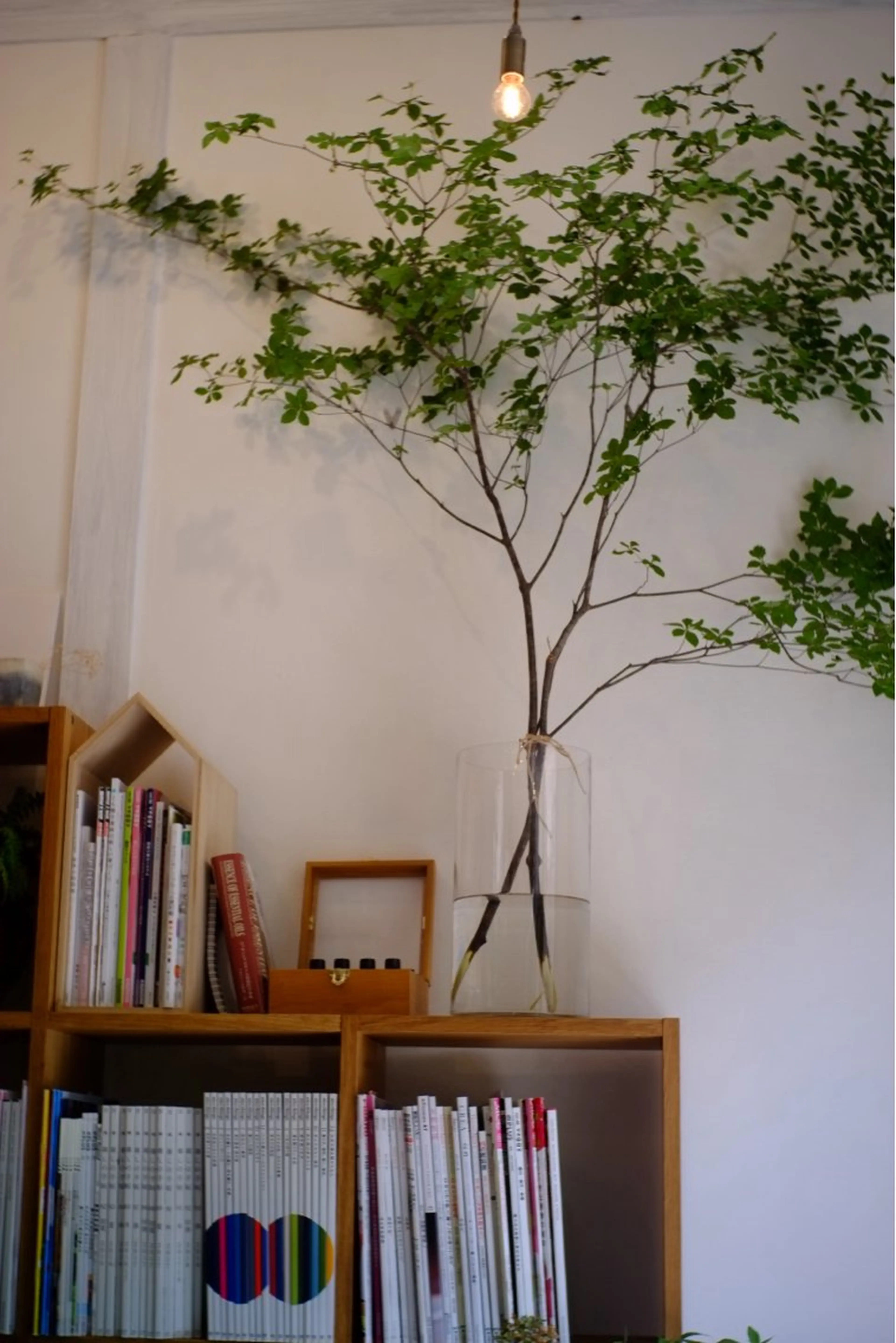 COTON人形町 YUKIの眉毛・アイブロウイメージ