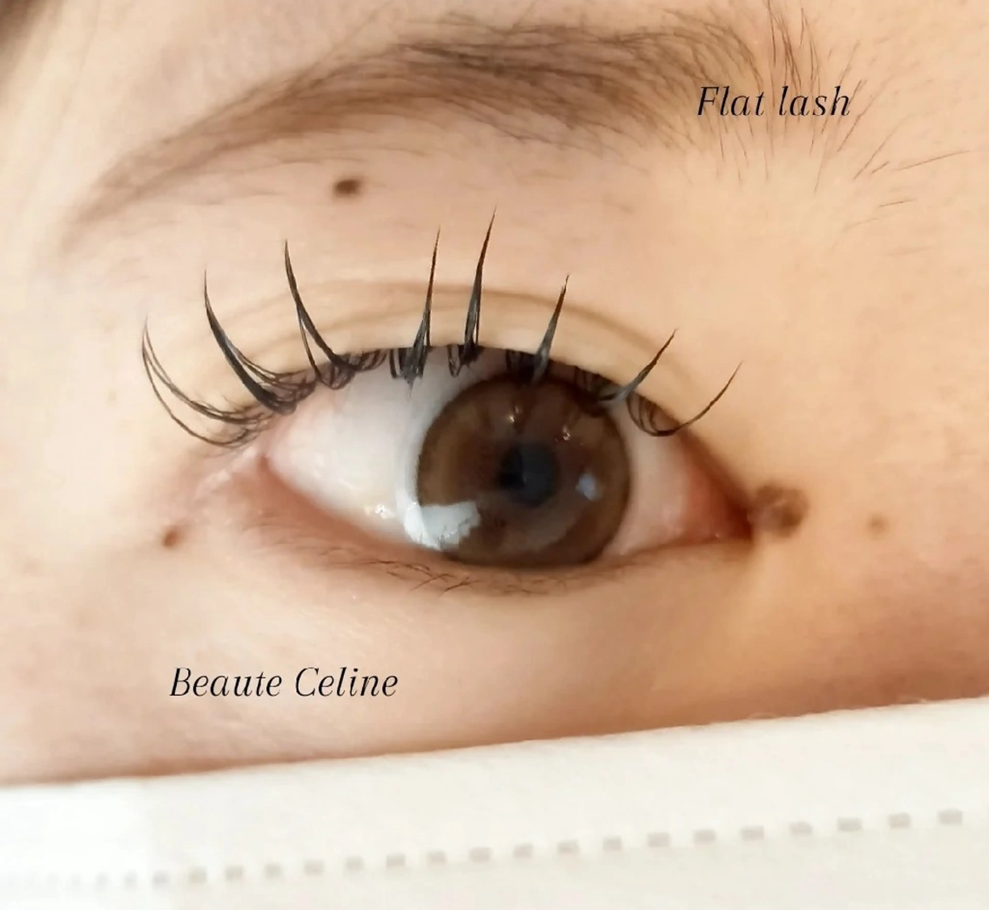 マツエク・マツパ マツエク beaute.celine所属・&healthy💜 ﾎﾞｰﾃCelineのマツエク・マツパデザイン