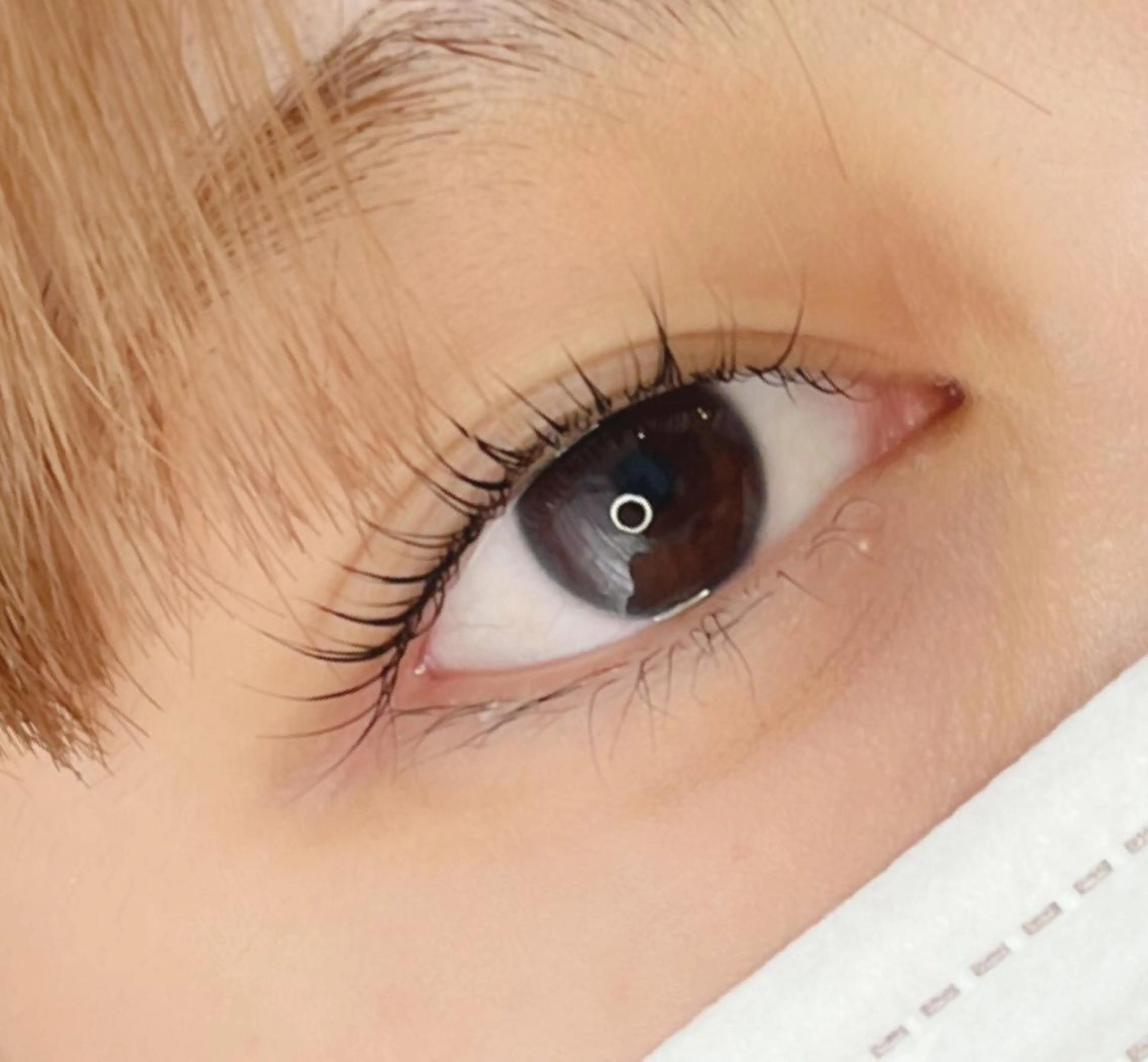マツエク・マツパ マツパ 《eyelash ｉｉｔｅ》森のマツエク・マツパデザイン