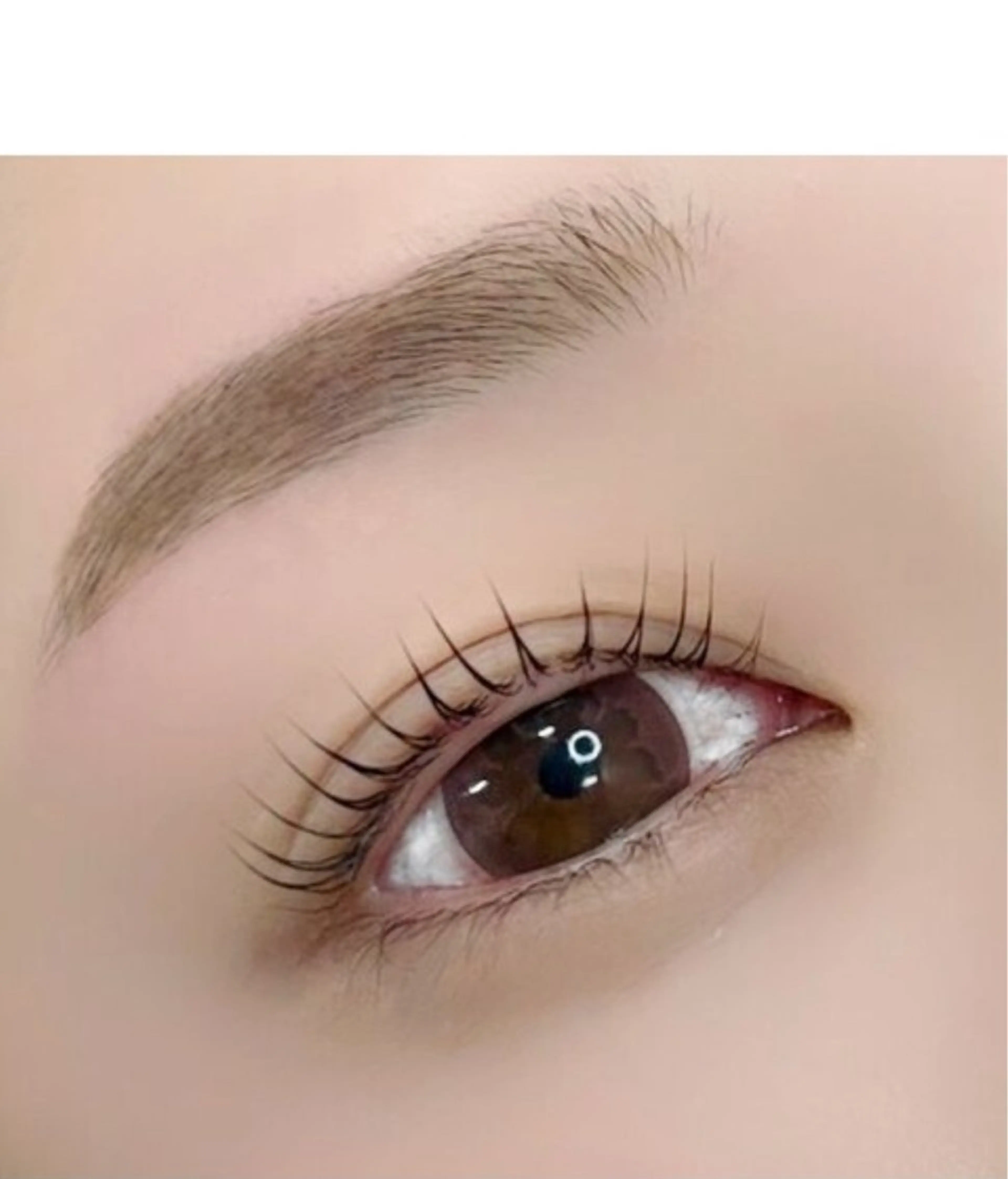 可愛い目元セット🩷まつ毛パーマ(上)＋アイブロウWaxの写真