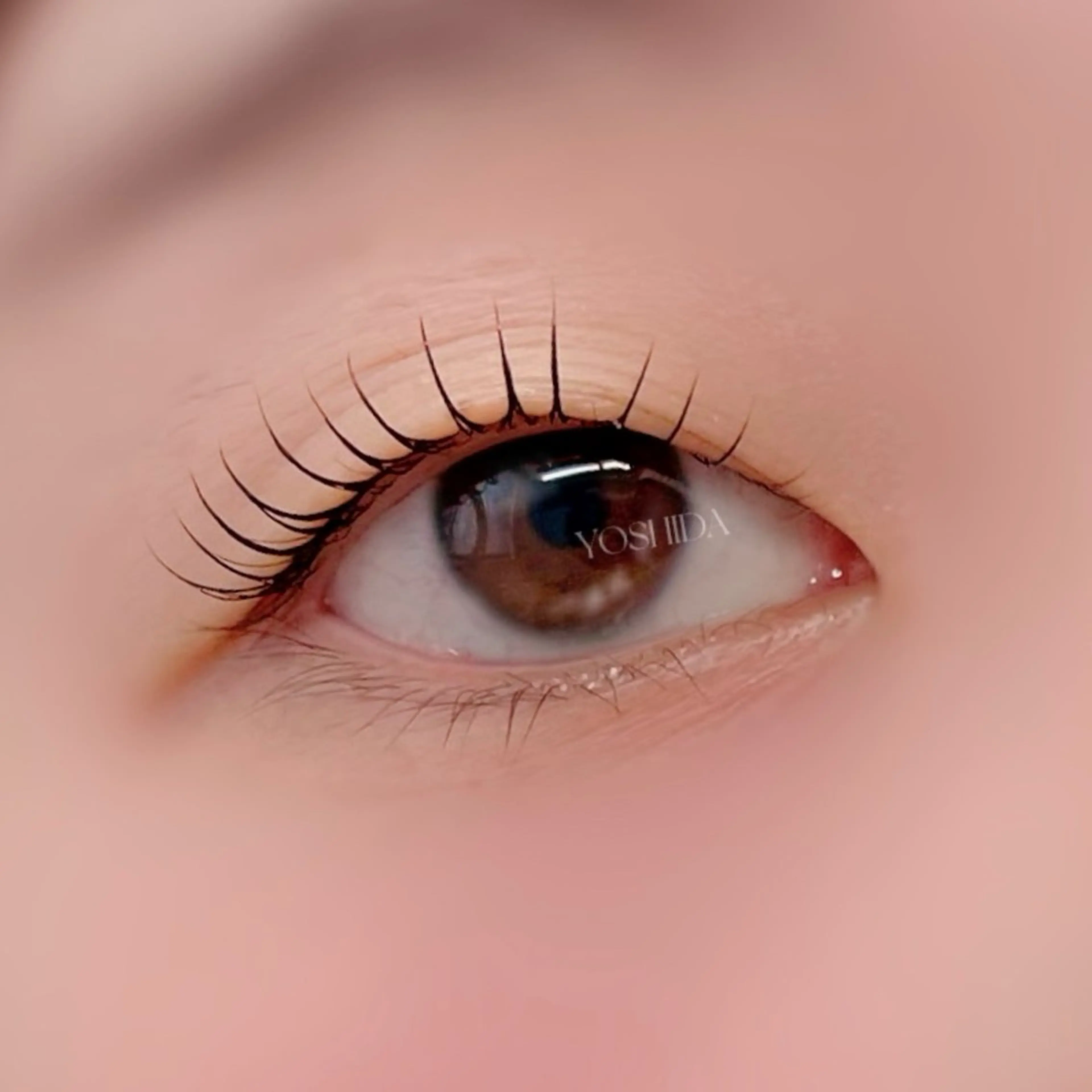 マツエク・マツパ マツパ 【一重┊︎奥二重】 YOSHIDA🌙の眉毛・アイブロウイメージ