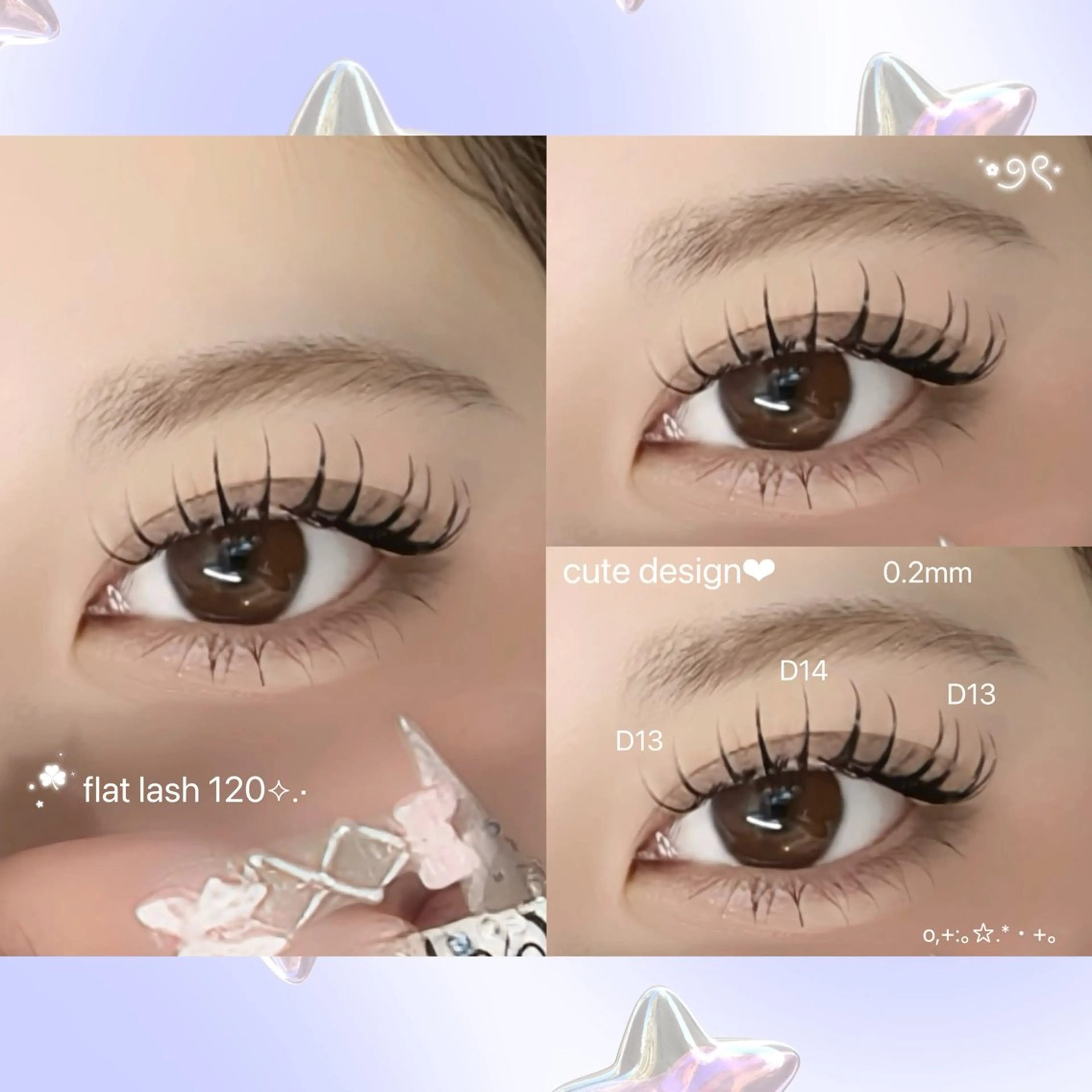 フラットラッシュ　120(オフ可)の写真