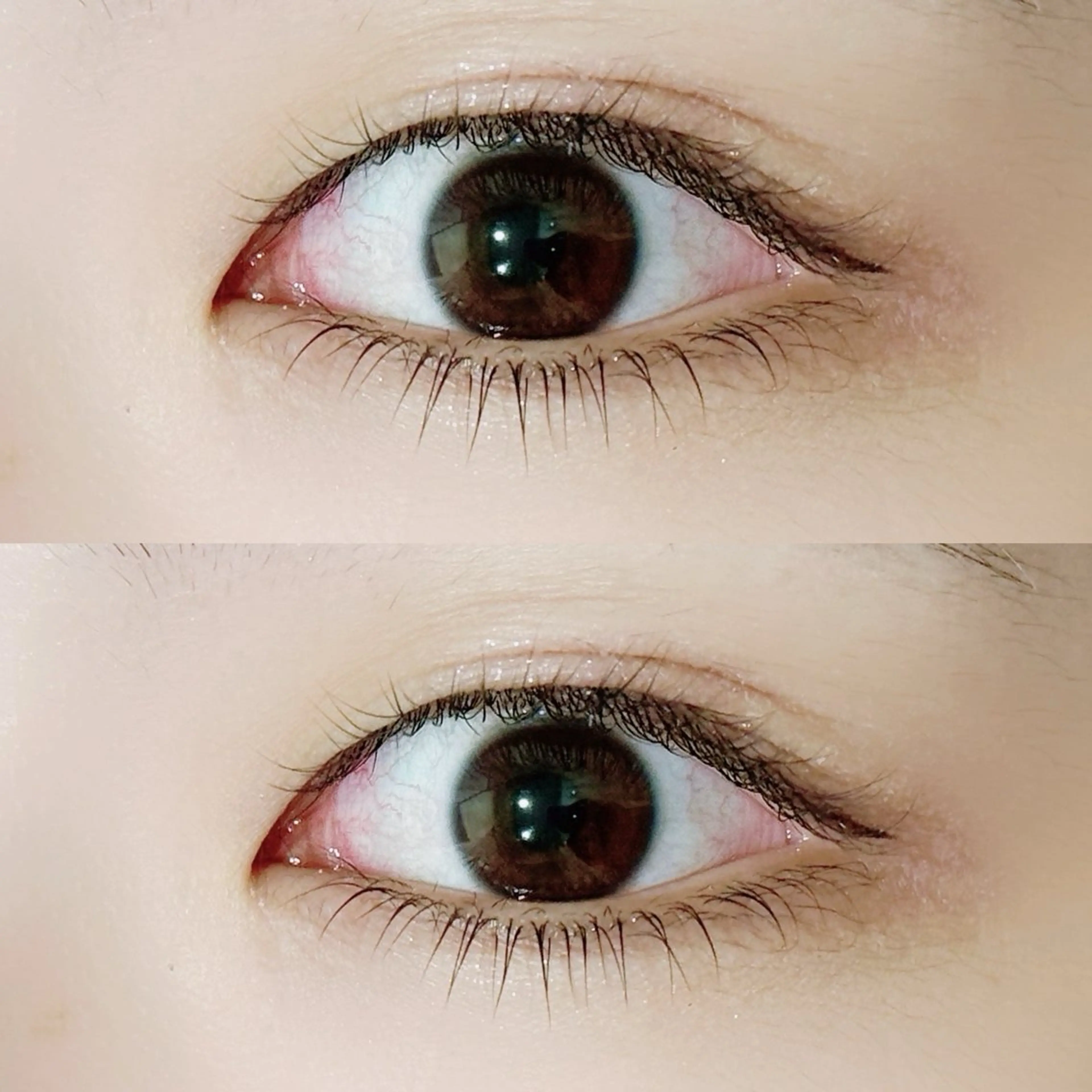 マツエク・マツパ まつげパーマ 下まつげエクステ cuinca柏店🧸 honokaのマツエク・マツパデザイン